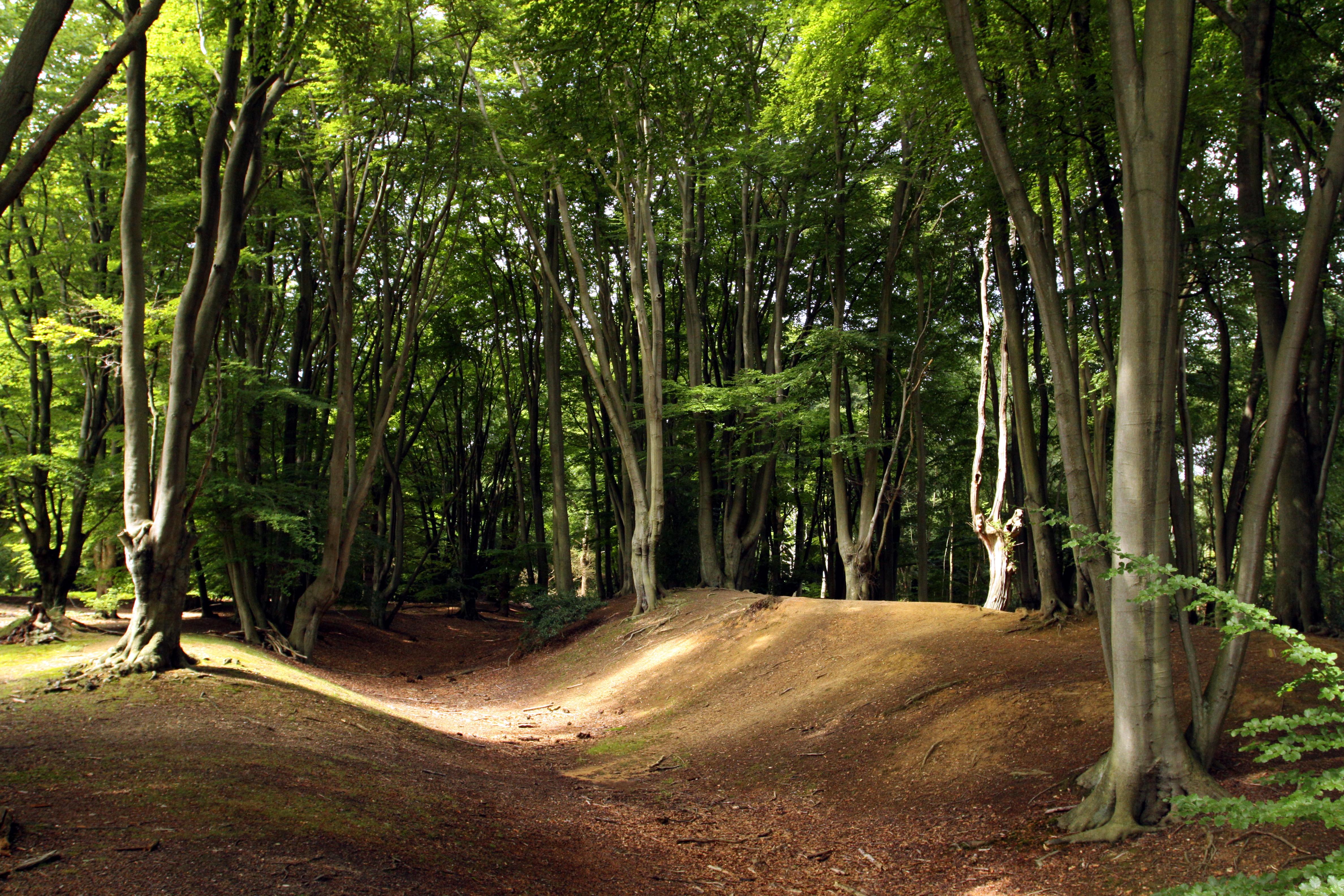 Ambresbury Banks