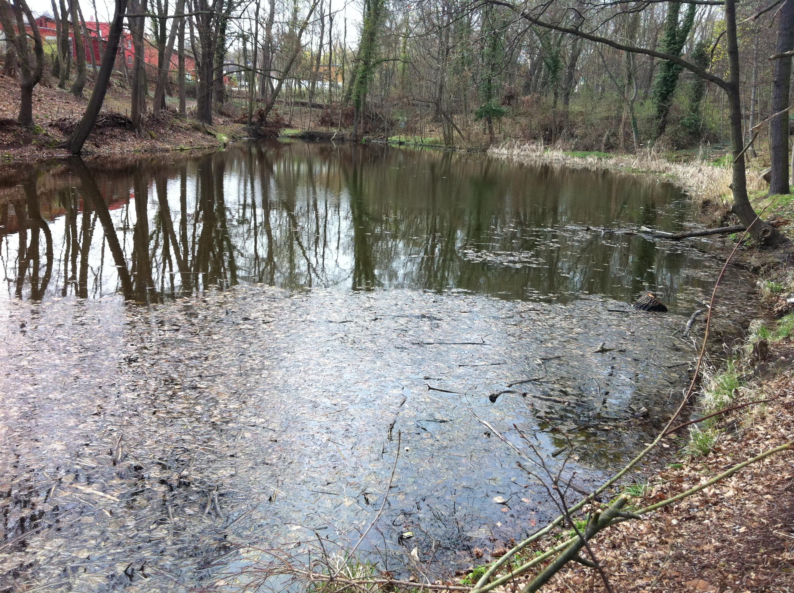 Kreuzer Teiche
