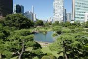 Jardim Kyu Shiba Rikyu