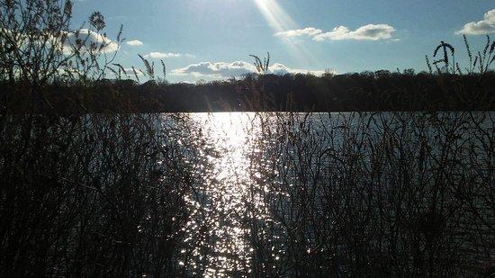 Plainsboro Preserve