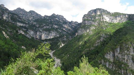 Parco Faunistico Pianpinedo