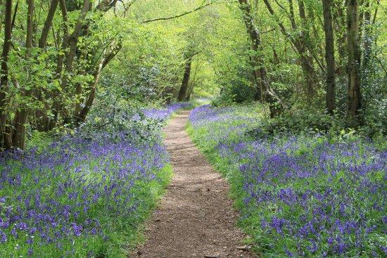 Norfolk Wildlife Trust