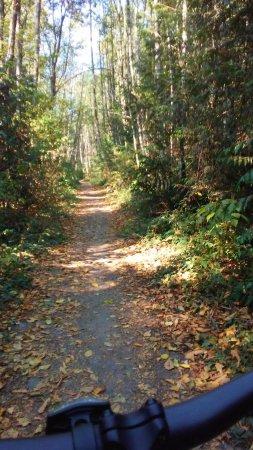 Putney Woods Trails