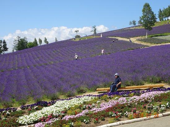 Saiko no sato Sasaki Farm