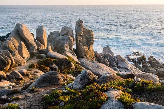 Pescadero Point