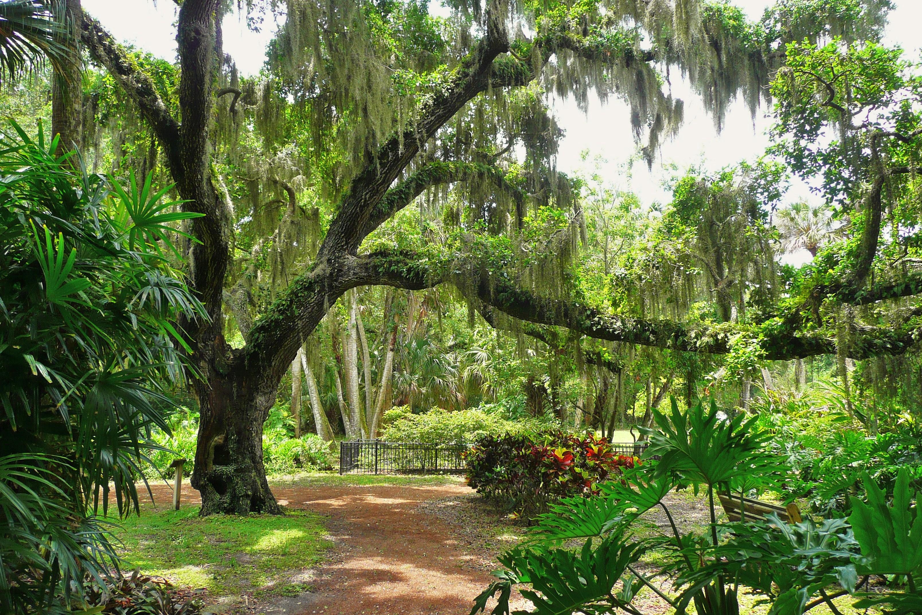 Washington Oaks State Gardens