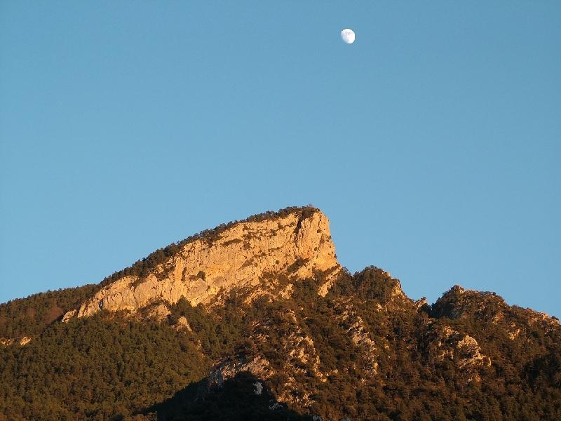 La Nou
