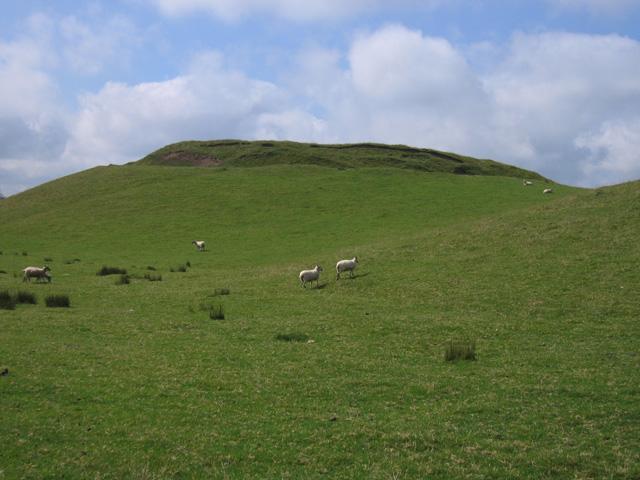 Castell-y-Blaidd