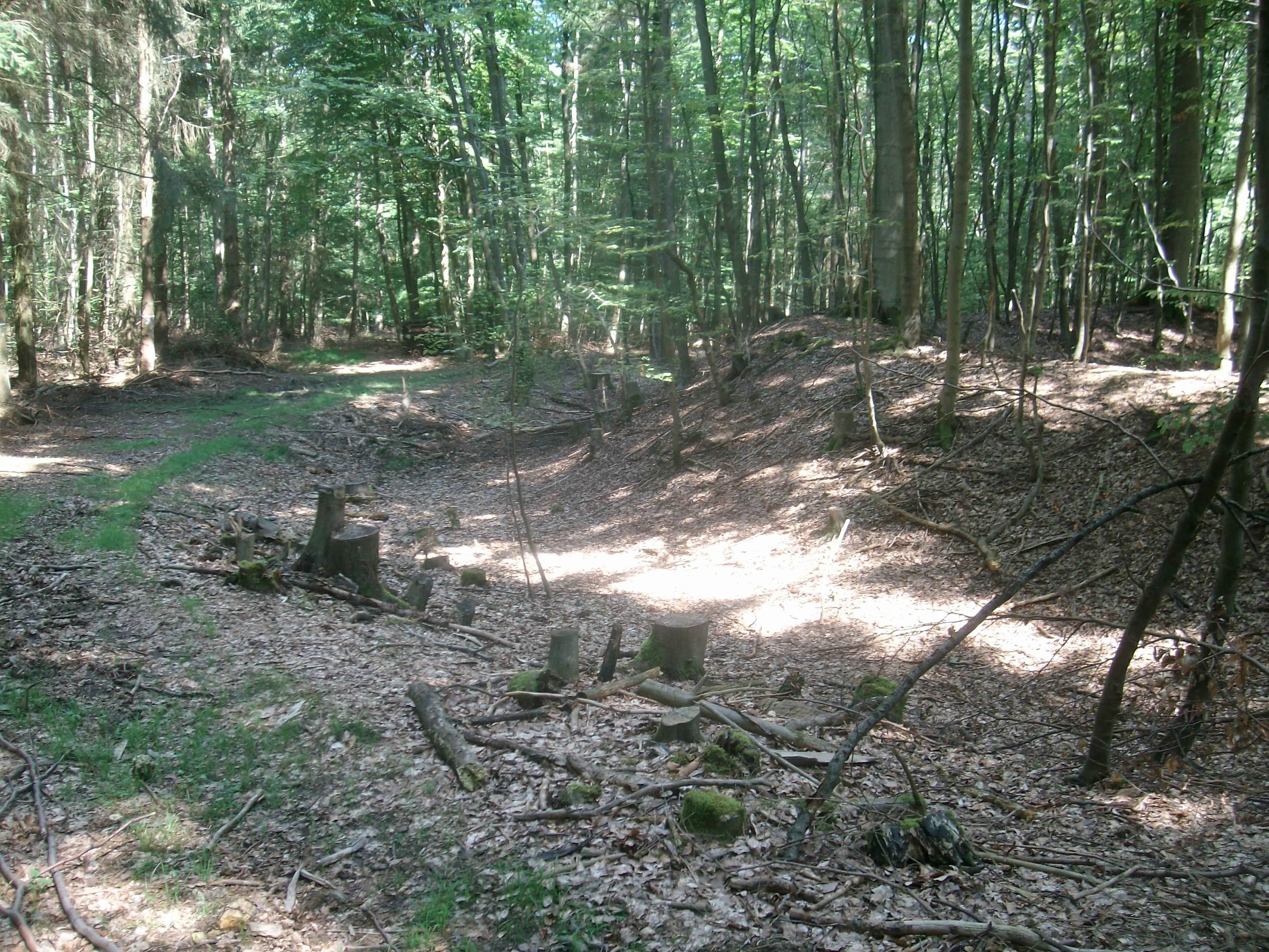 Alte Schanz