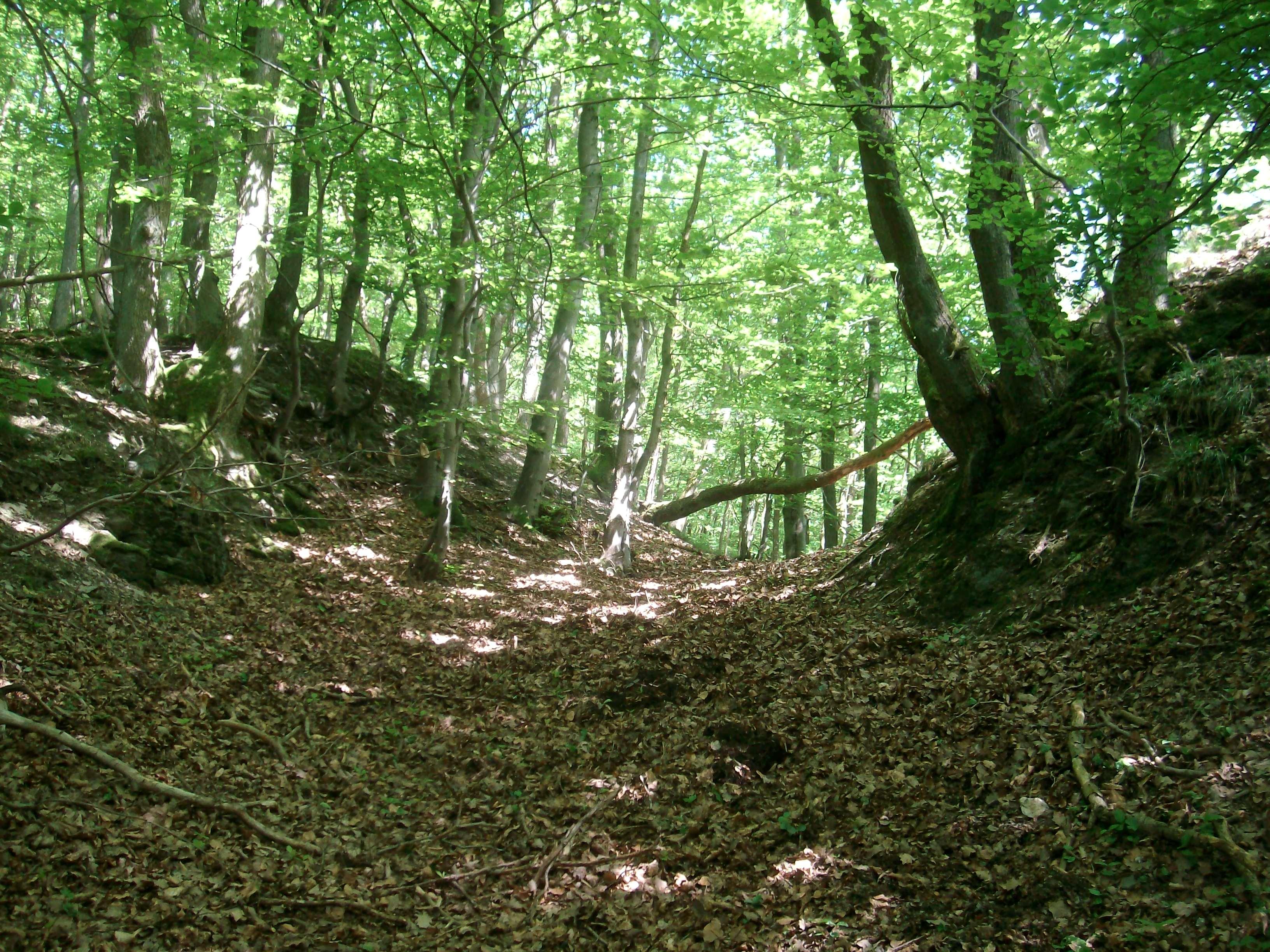 Hareschloß