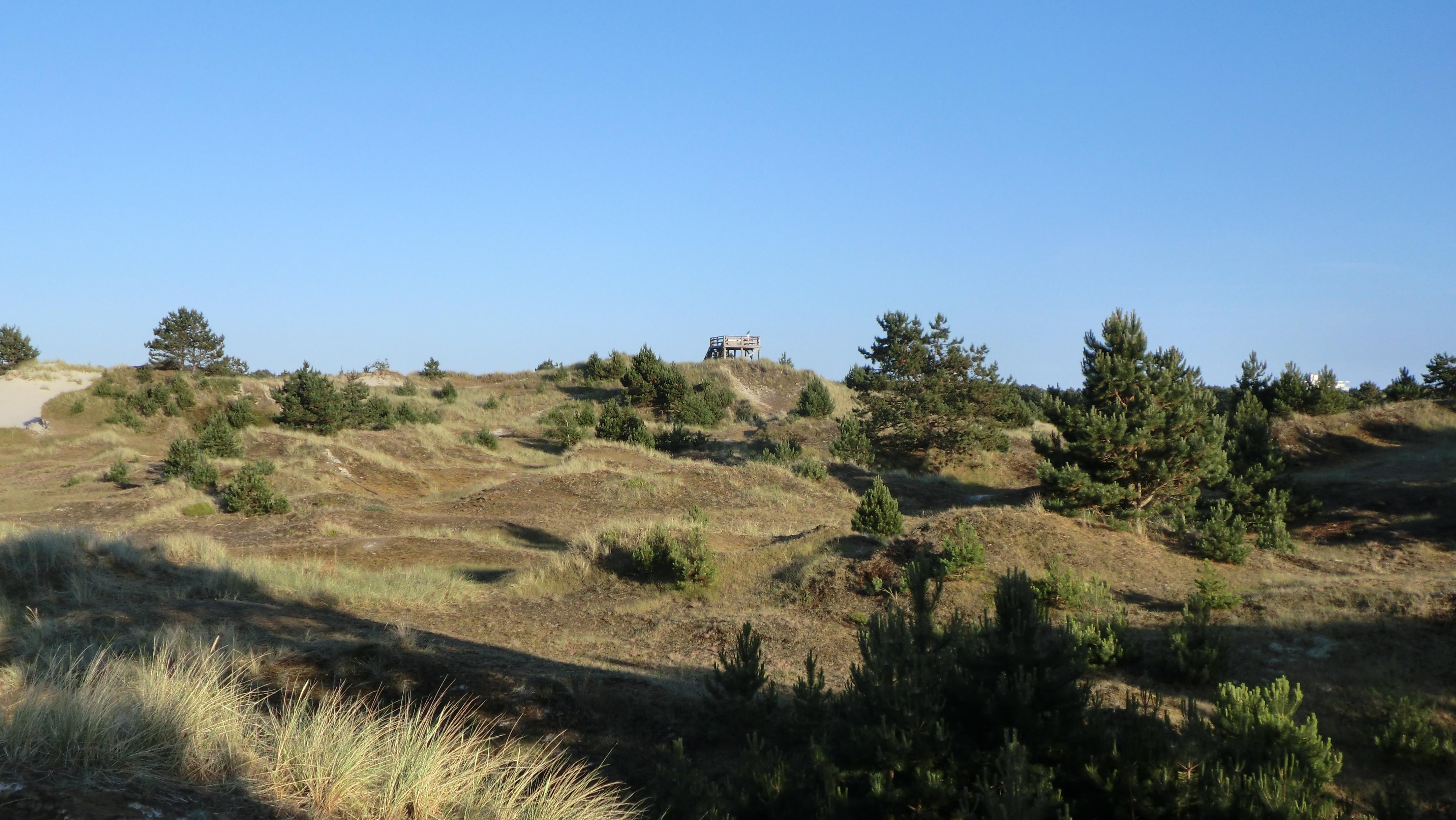 Maleens Knoll