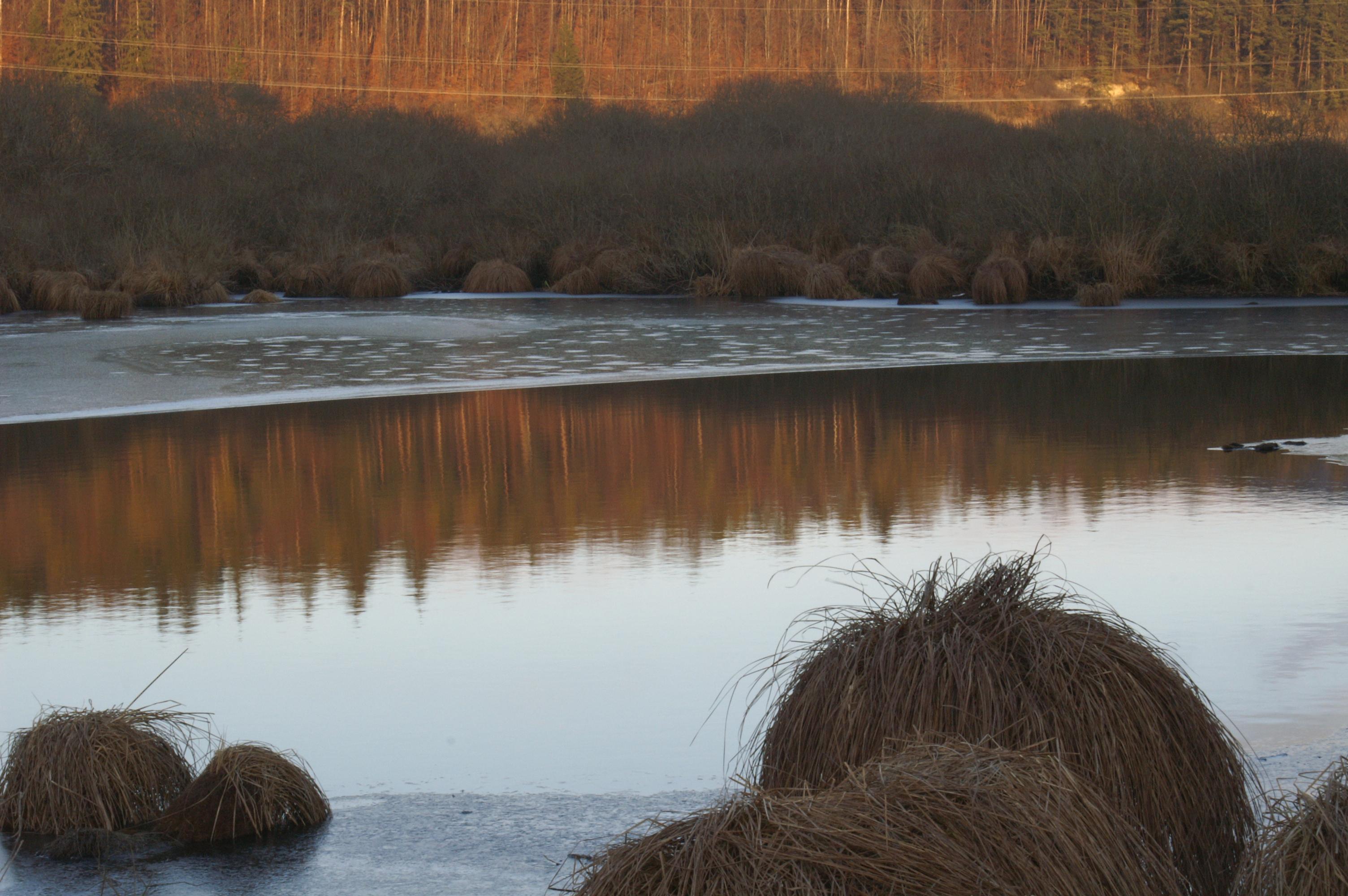Schmiechener See