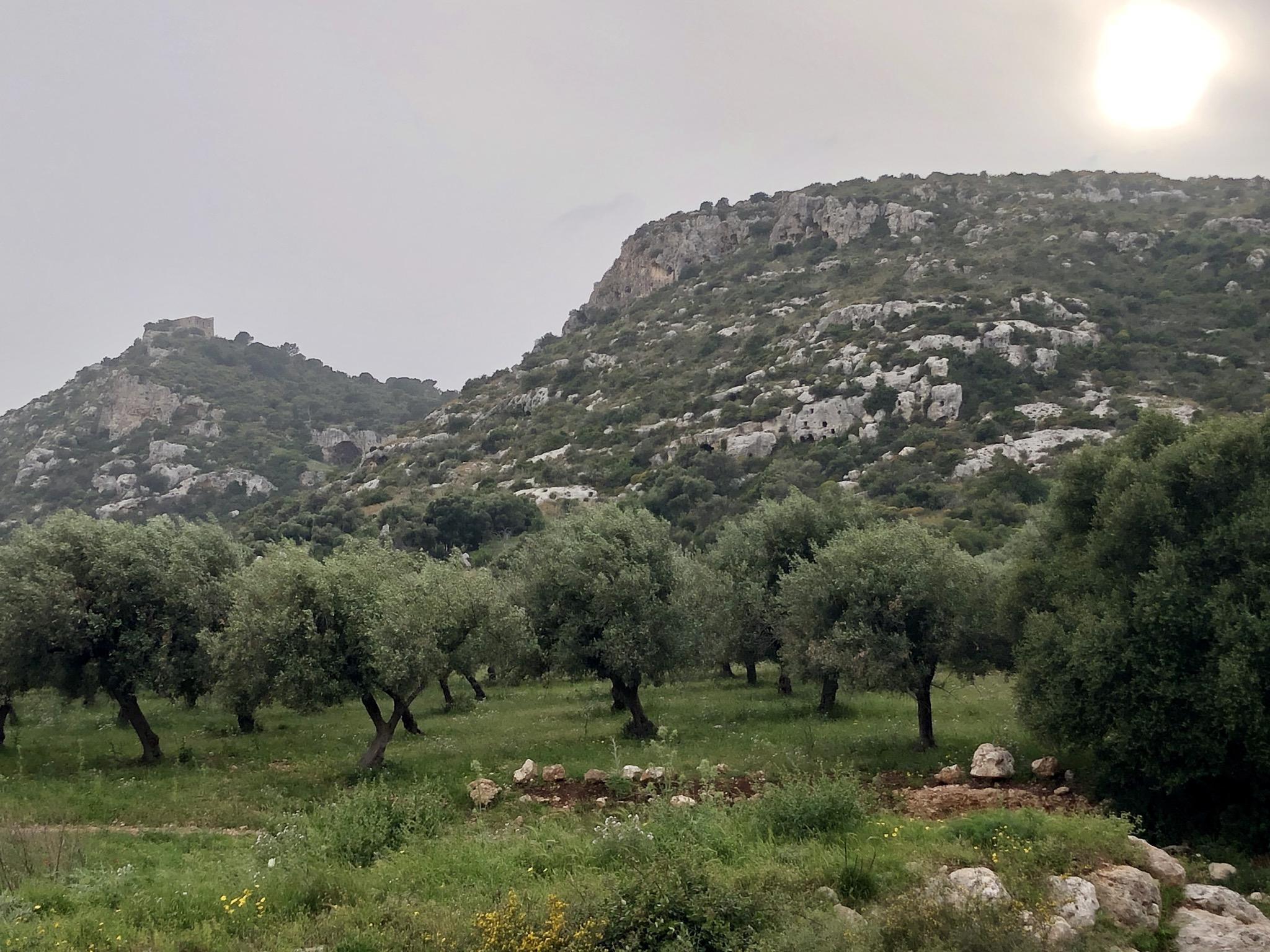 Necropolis of Cassibile