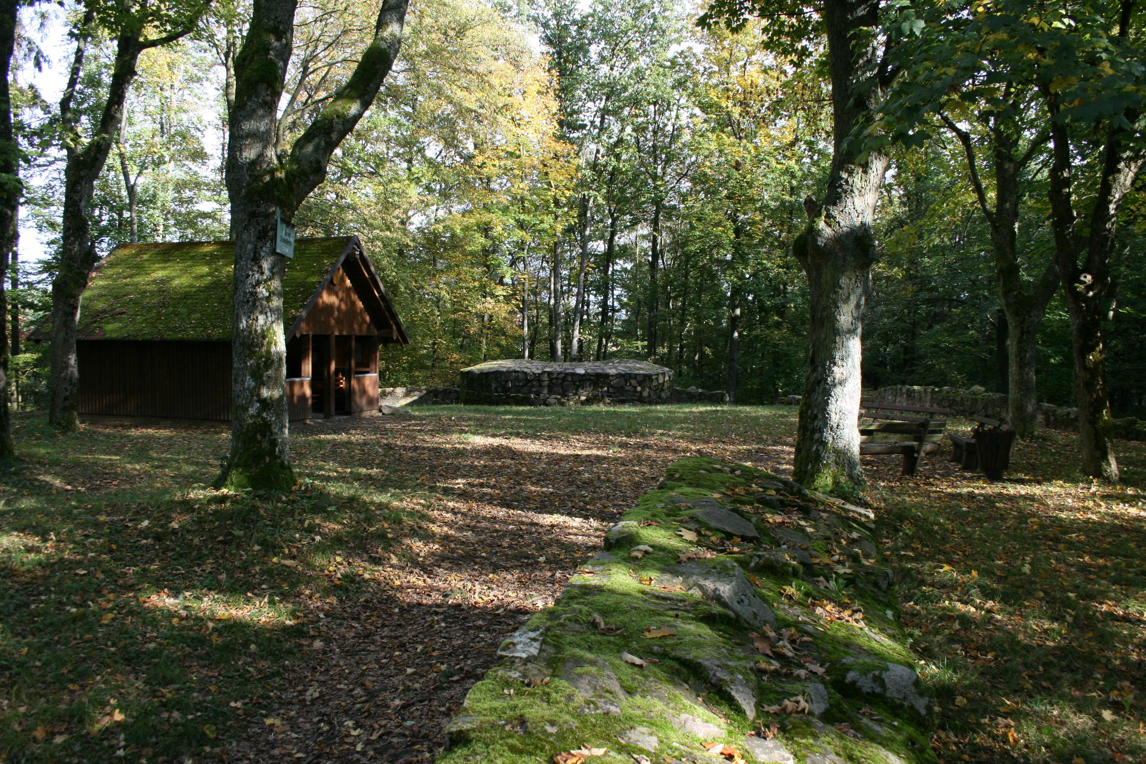 Burg Schnellerts