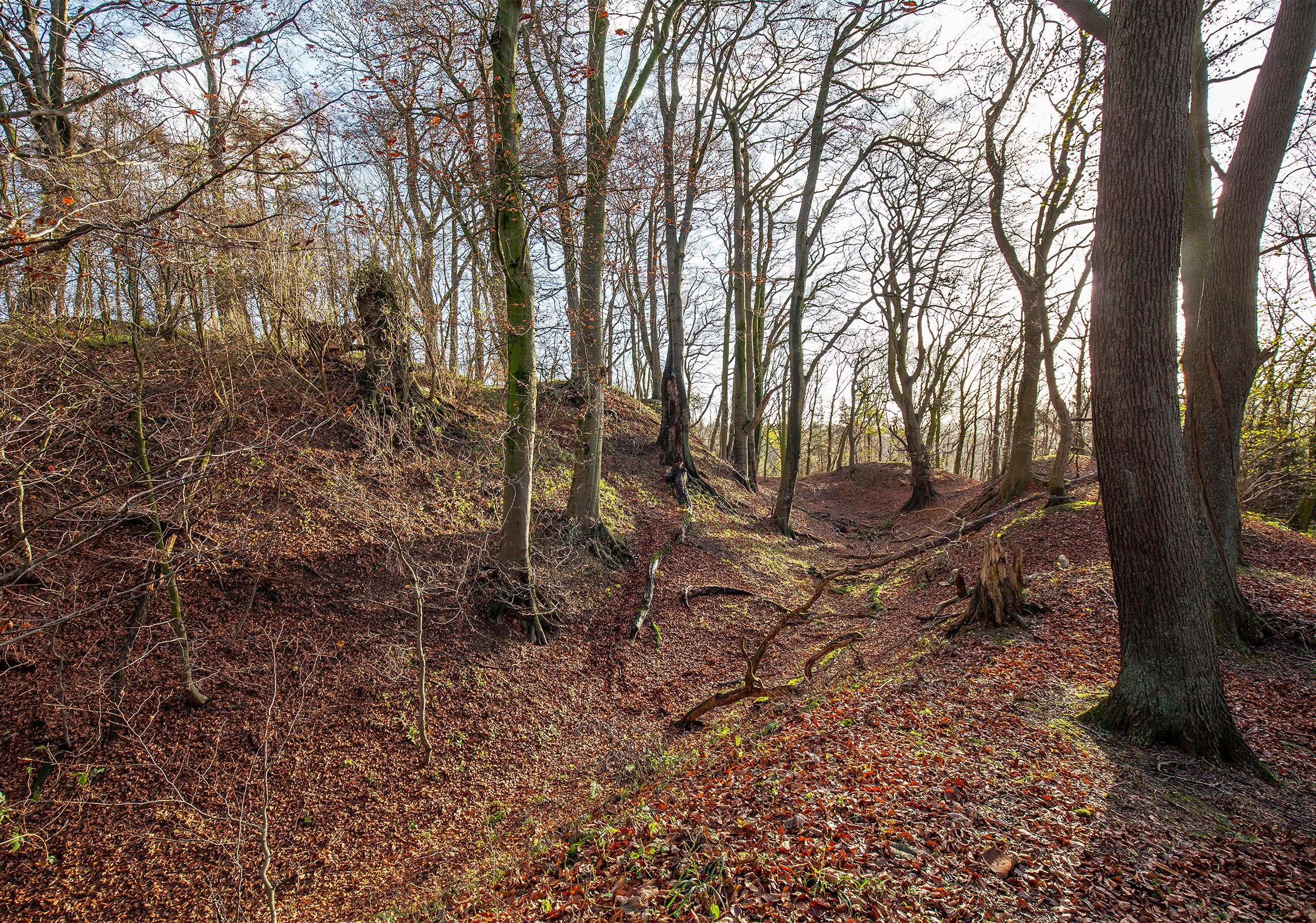 Burg Reineberg