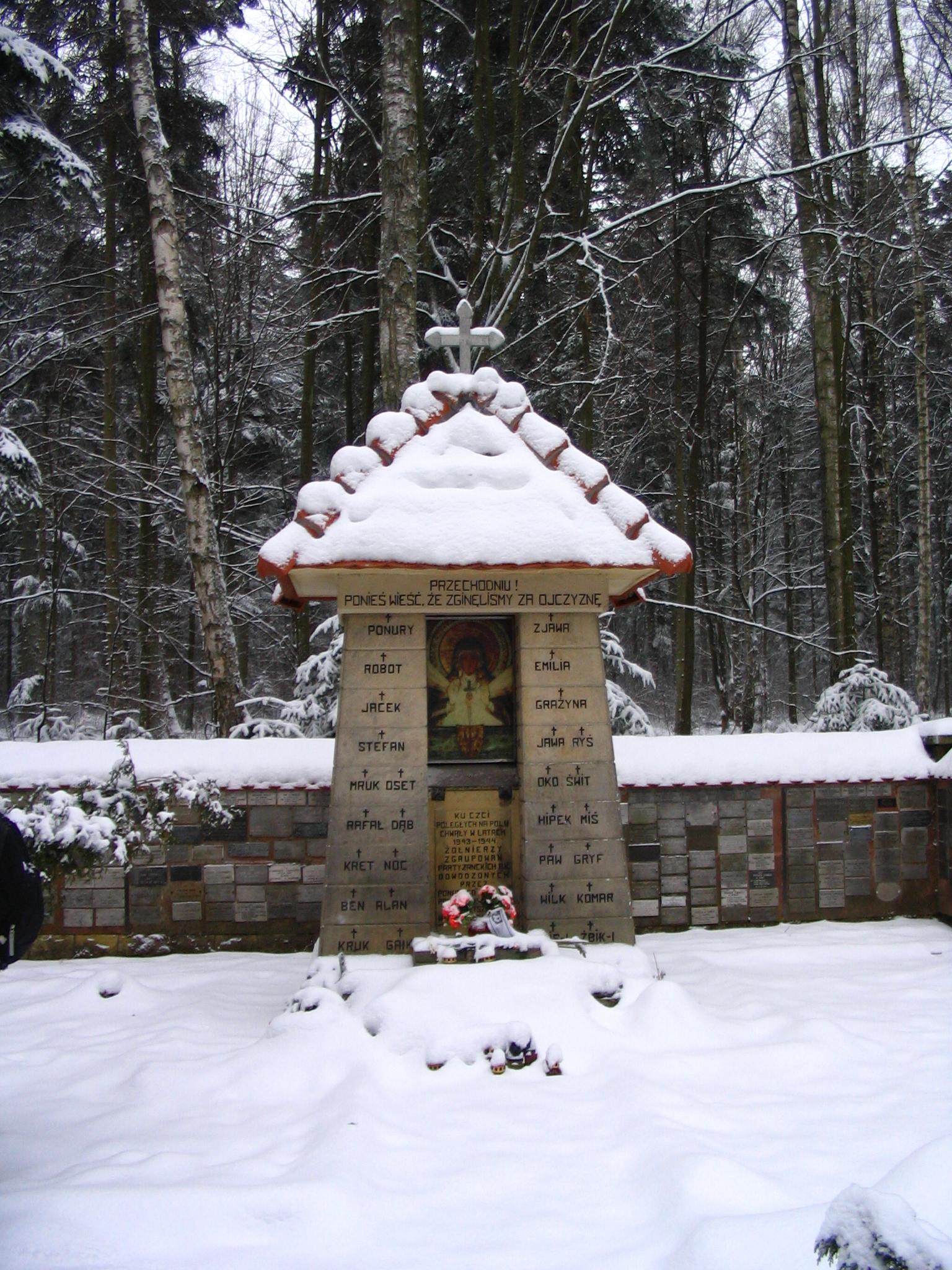 Wykus
