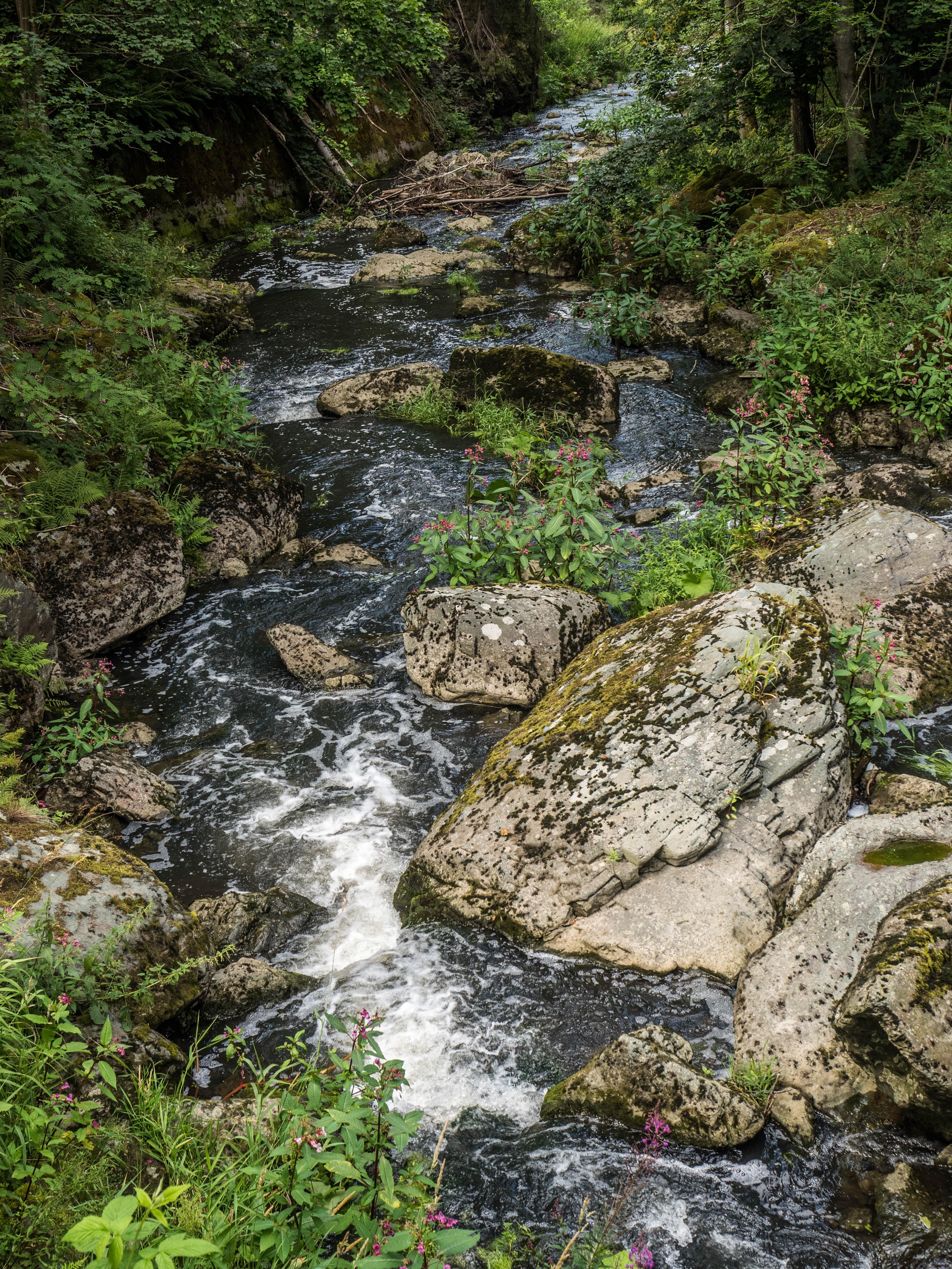 Höllental im Frankenwald