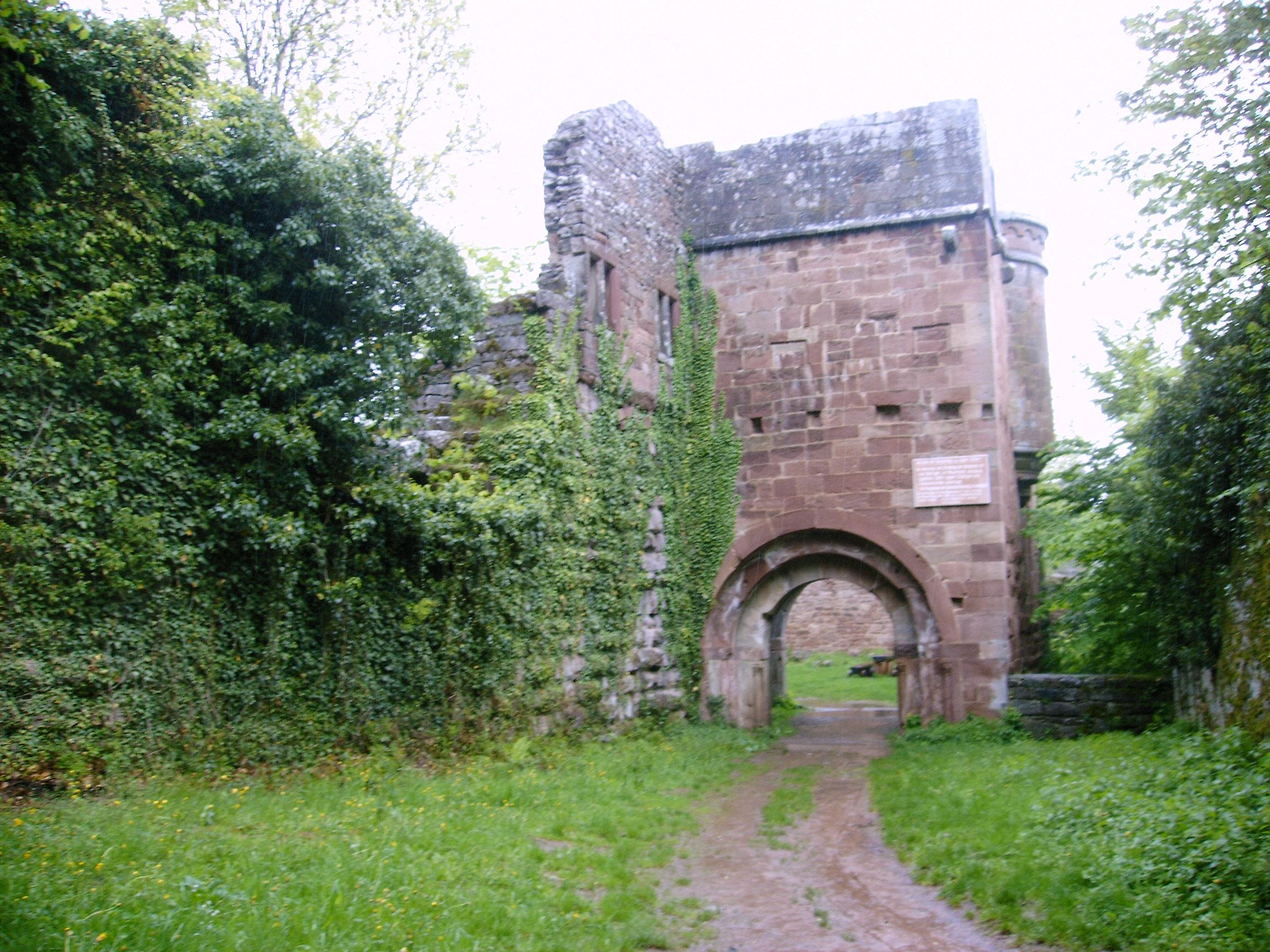 Burg Wildenberg