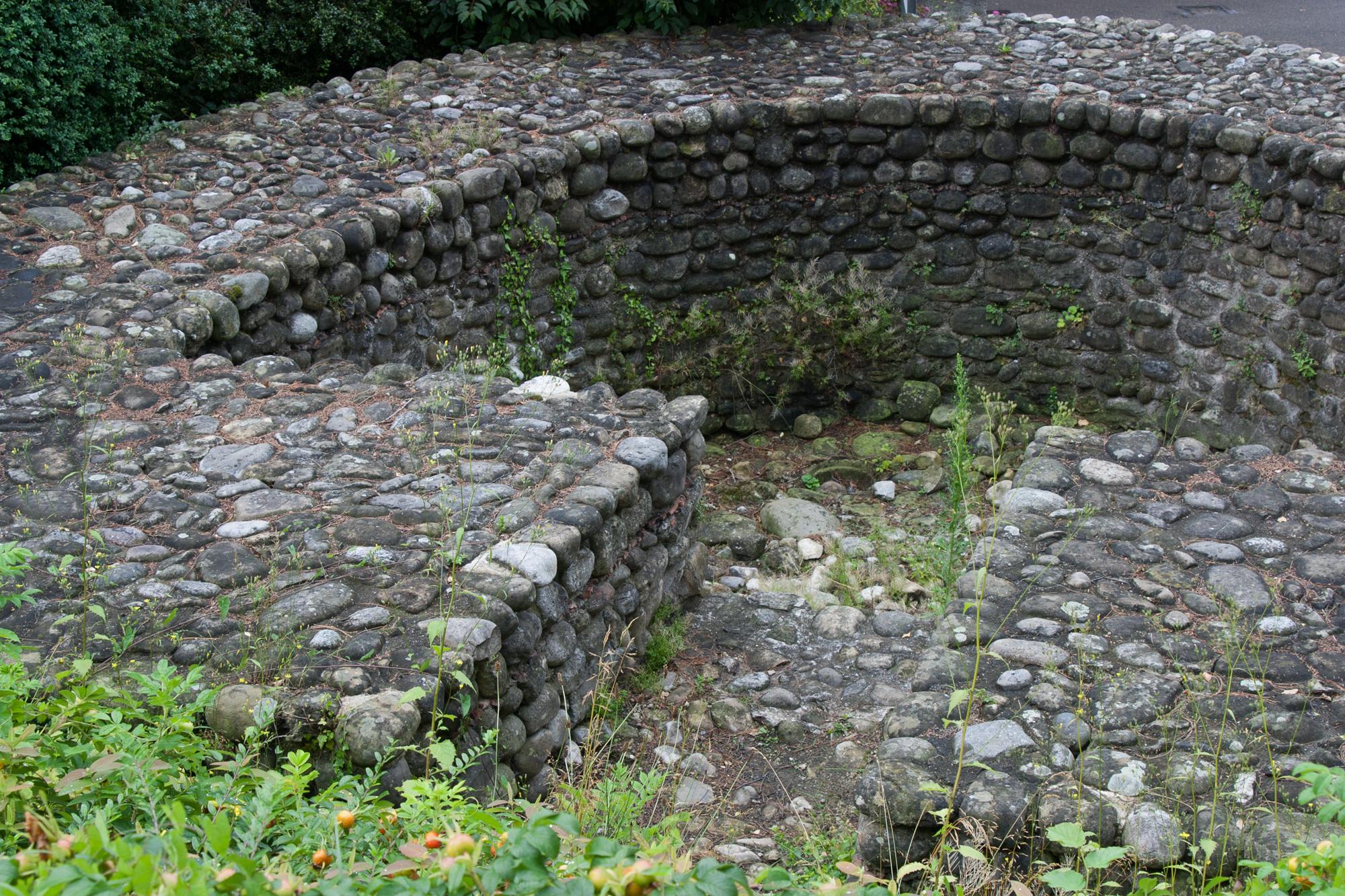 Kastell Arbon