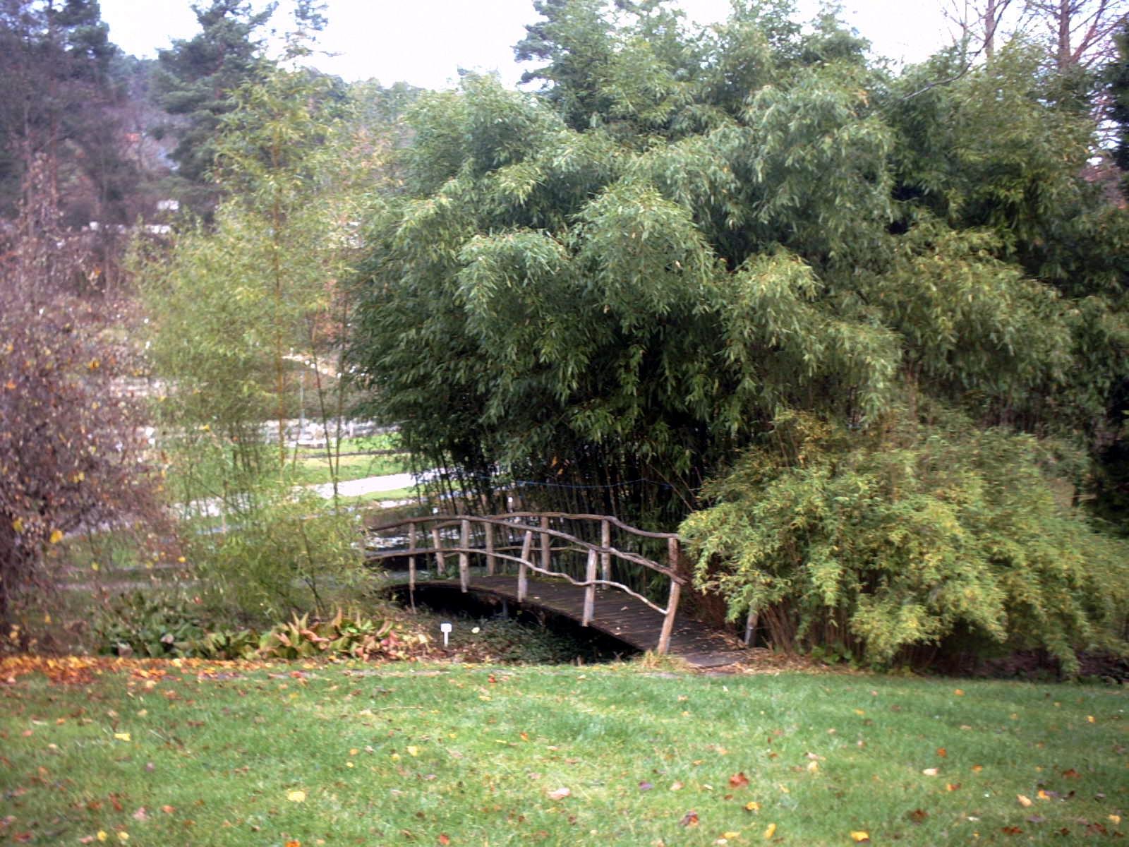 Botanischer Garten Tübingen
