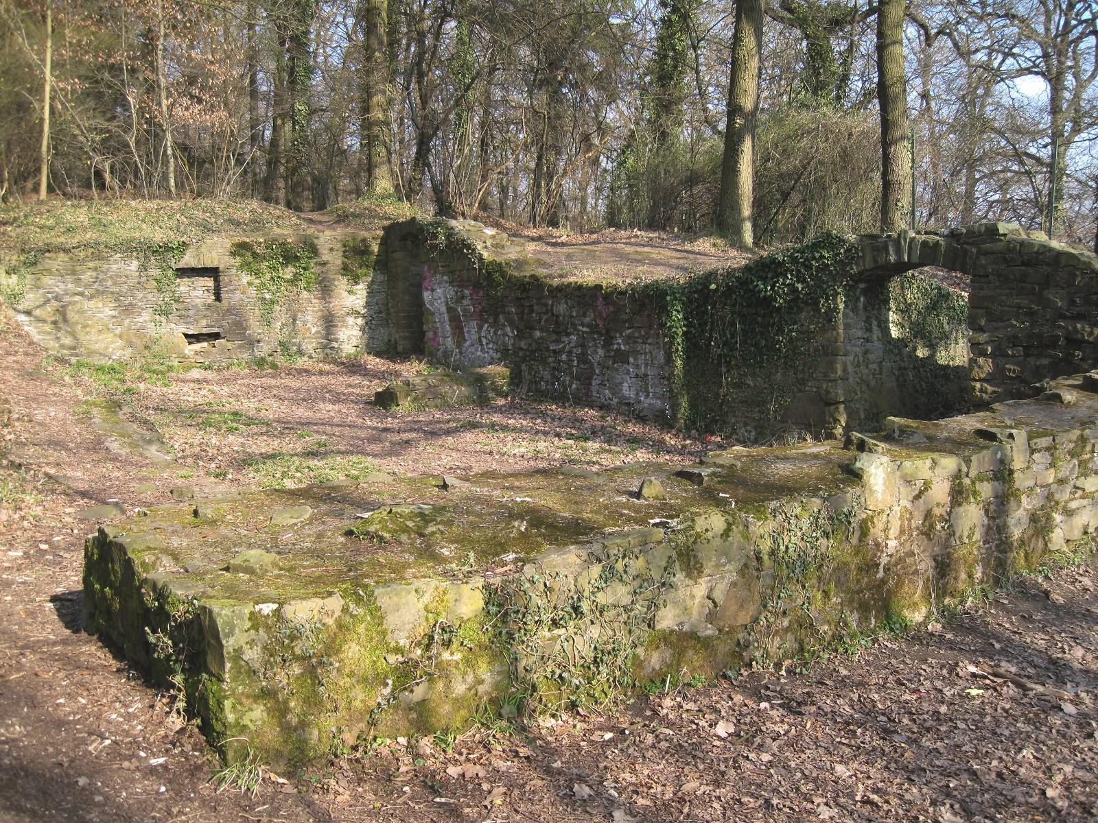 Burg Rodenberg
