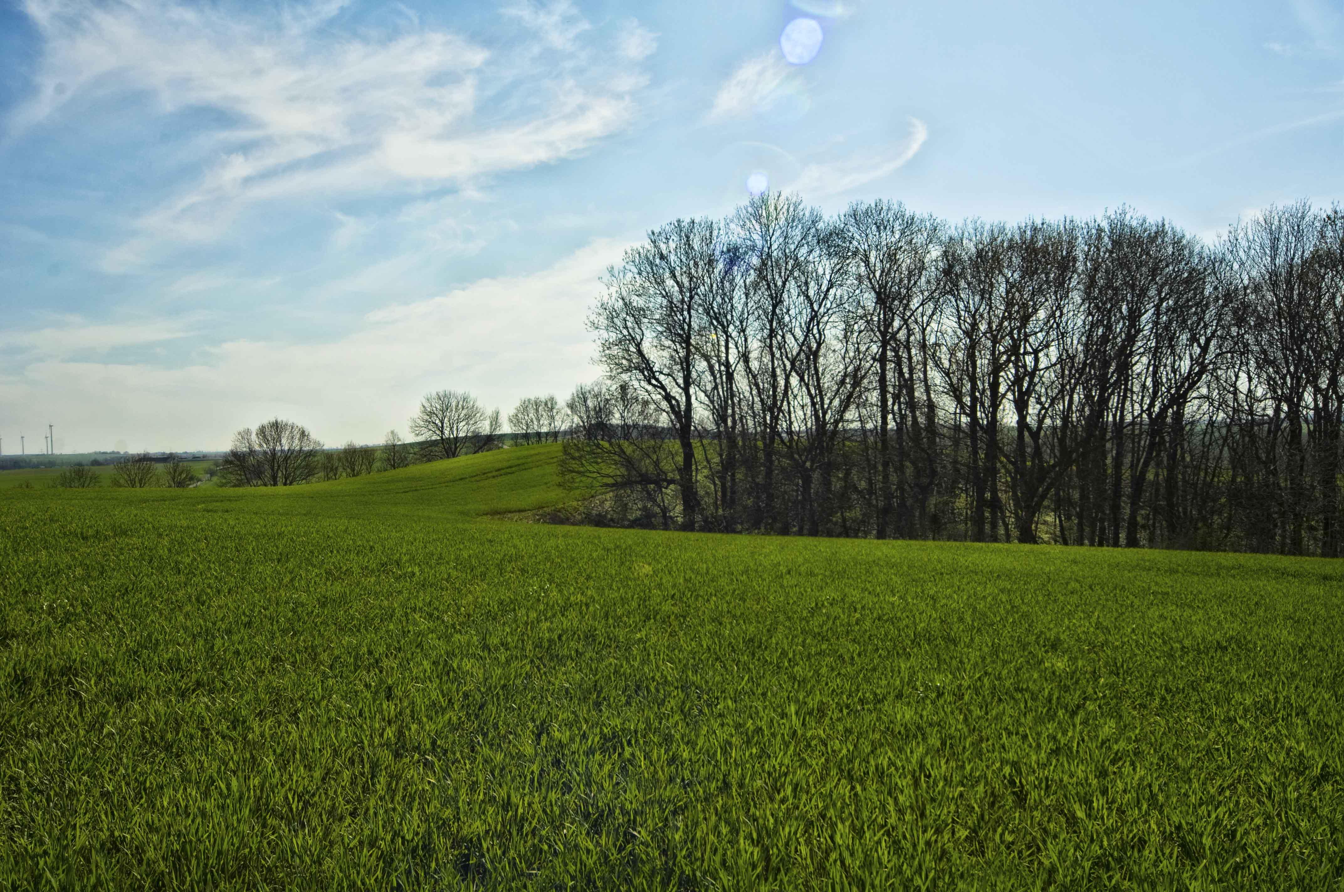 Burgberg Zschaitz