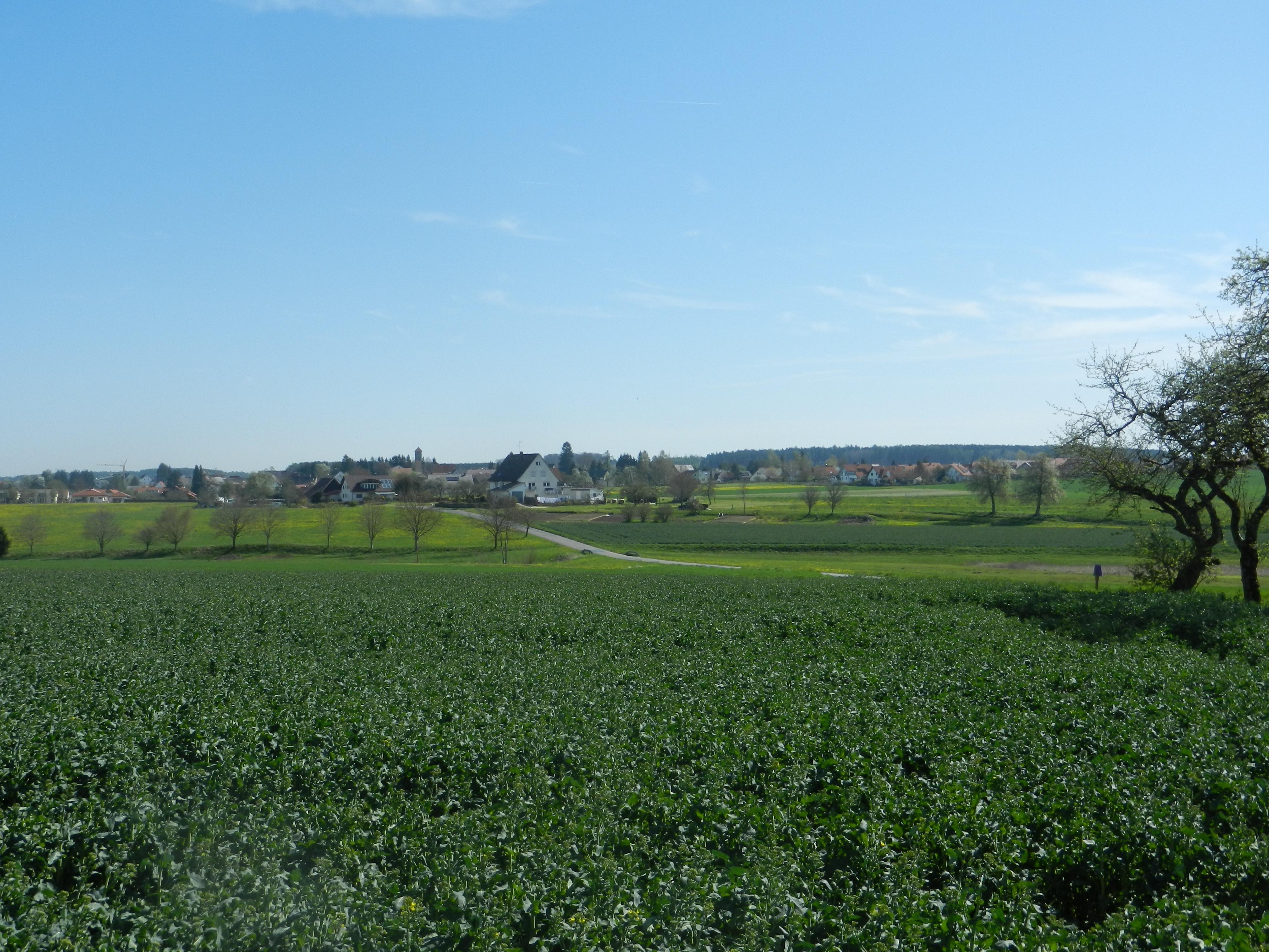 Walbertsweiler