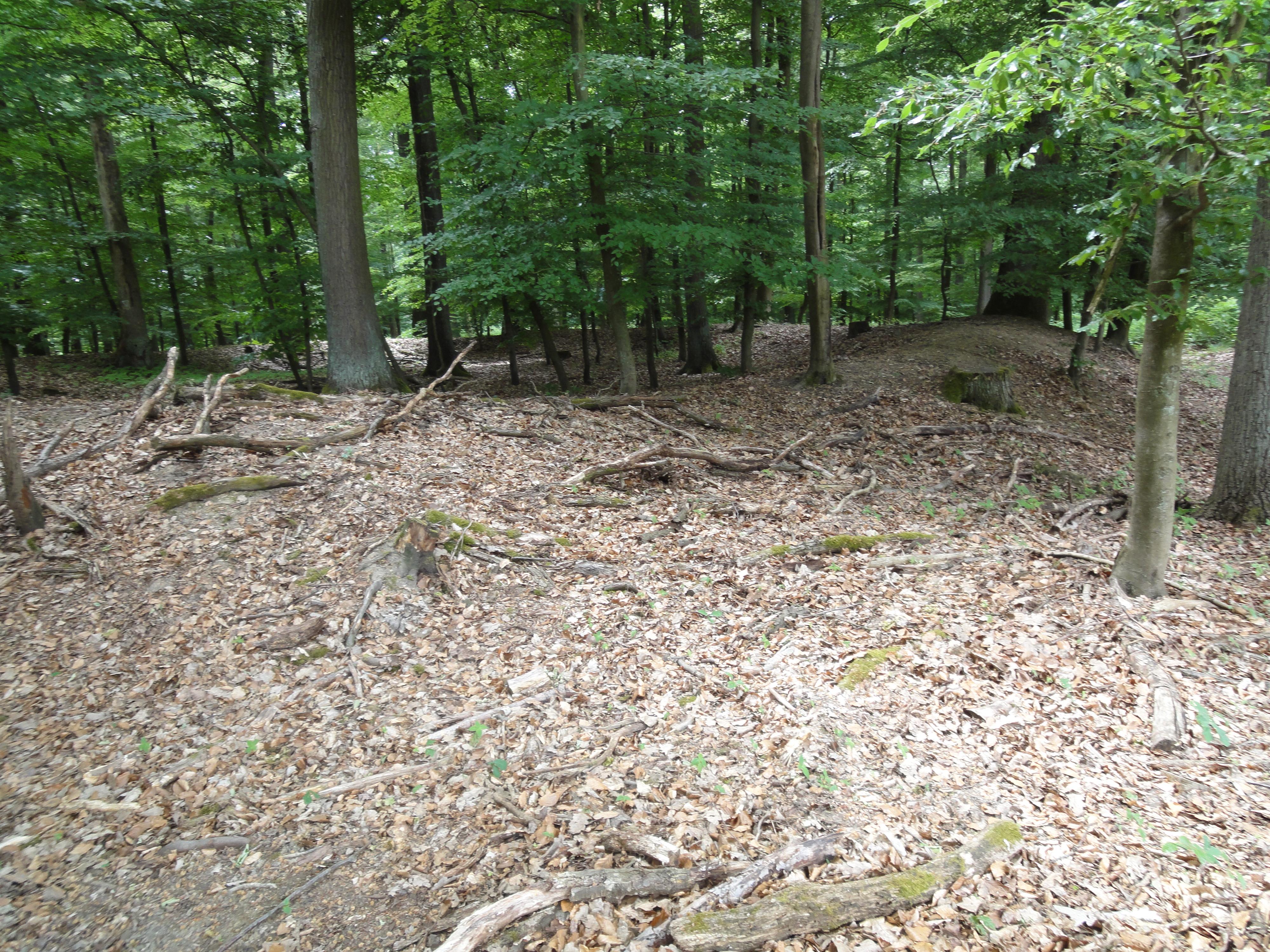 Alte Schanze