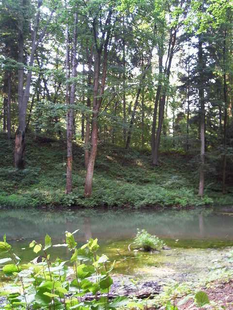 Beskidzkie Morskie Oko
