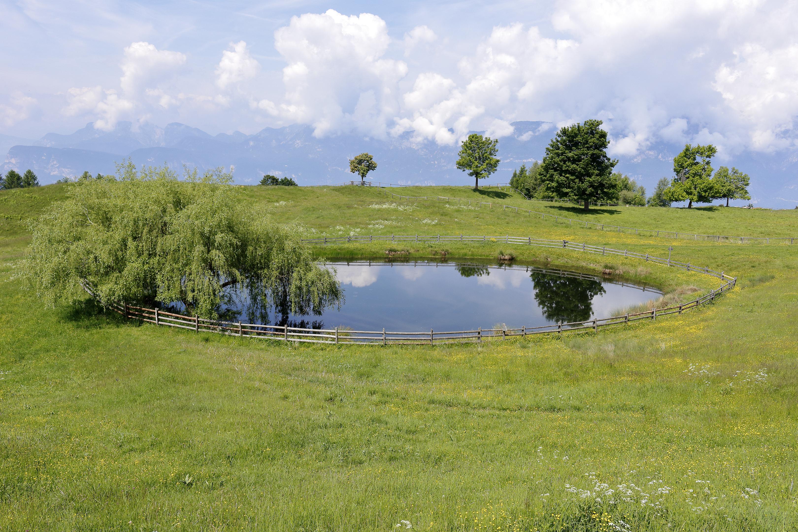 Naturpark Trudner Horn