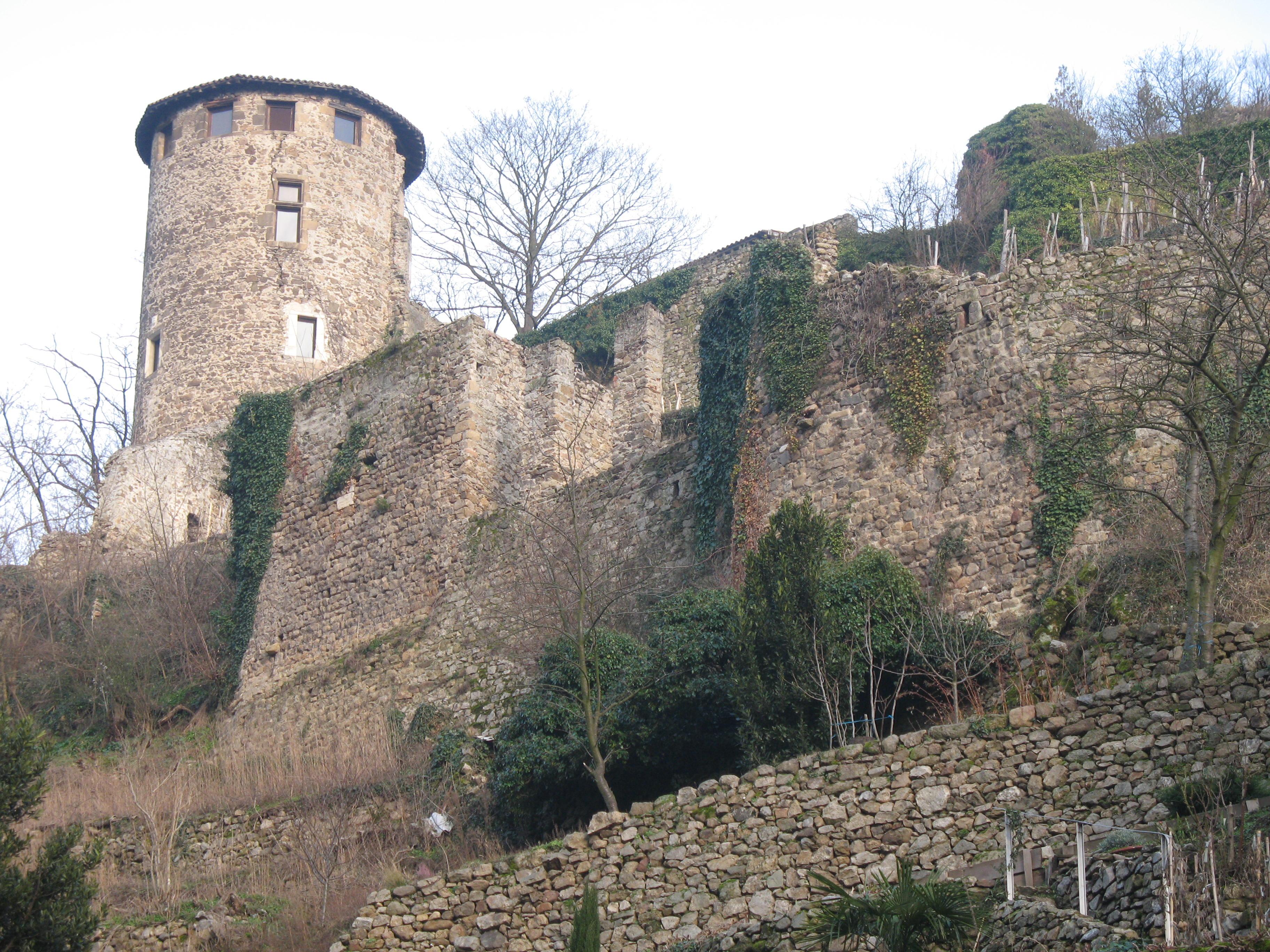 Chateau de Condrieu