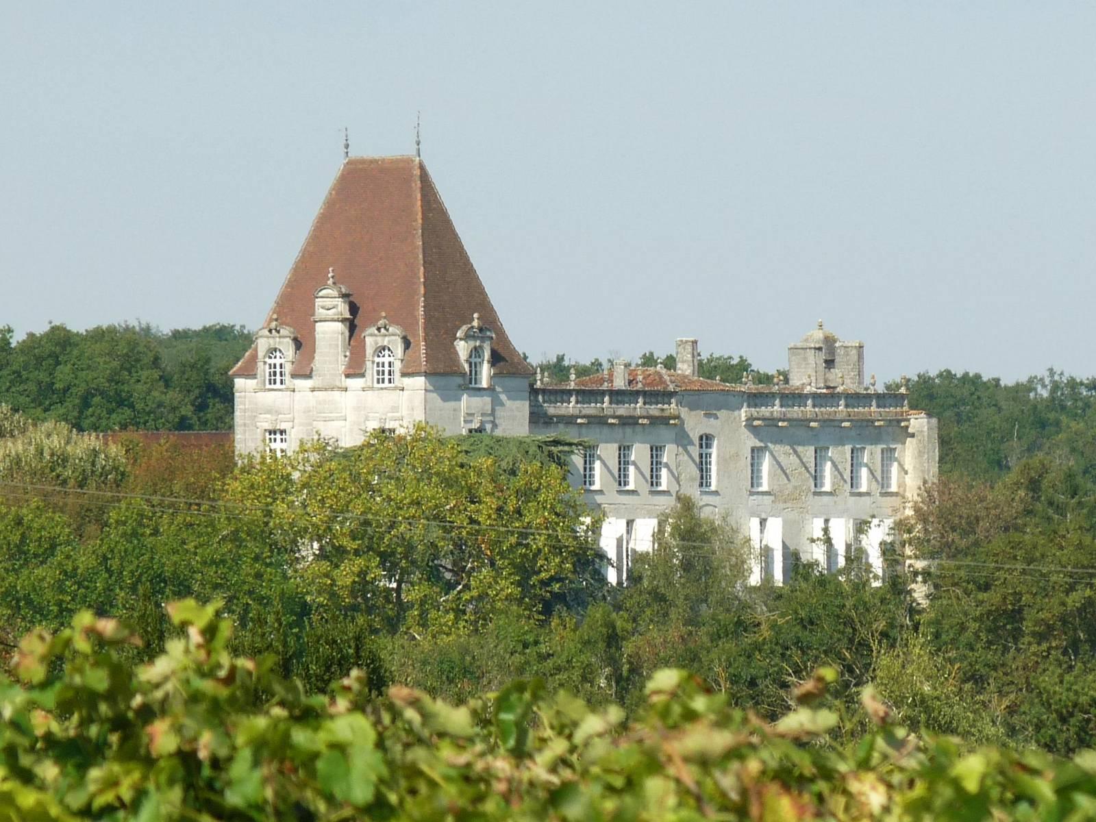 château de Bourg-Charente