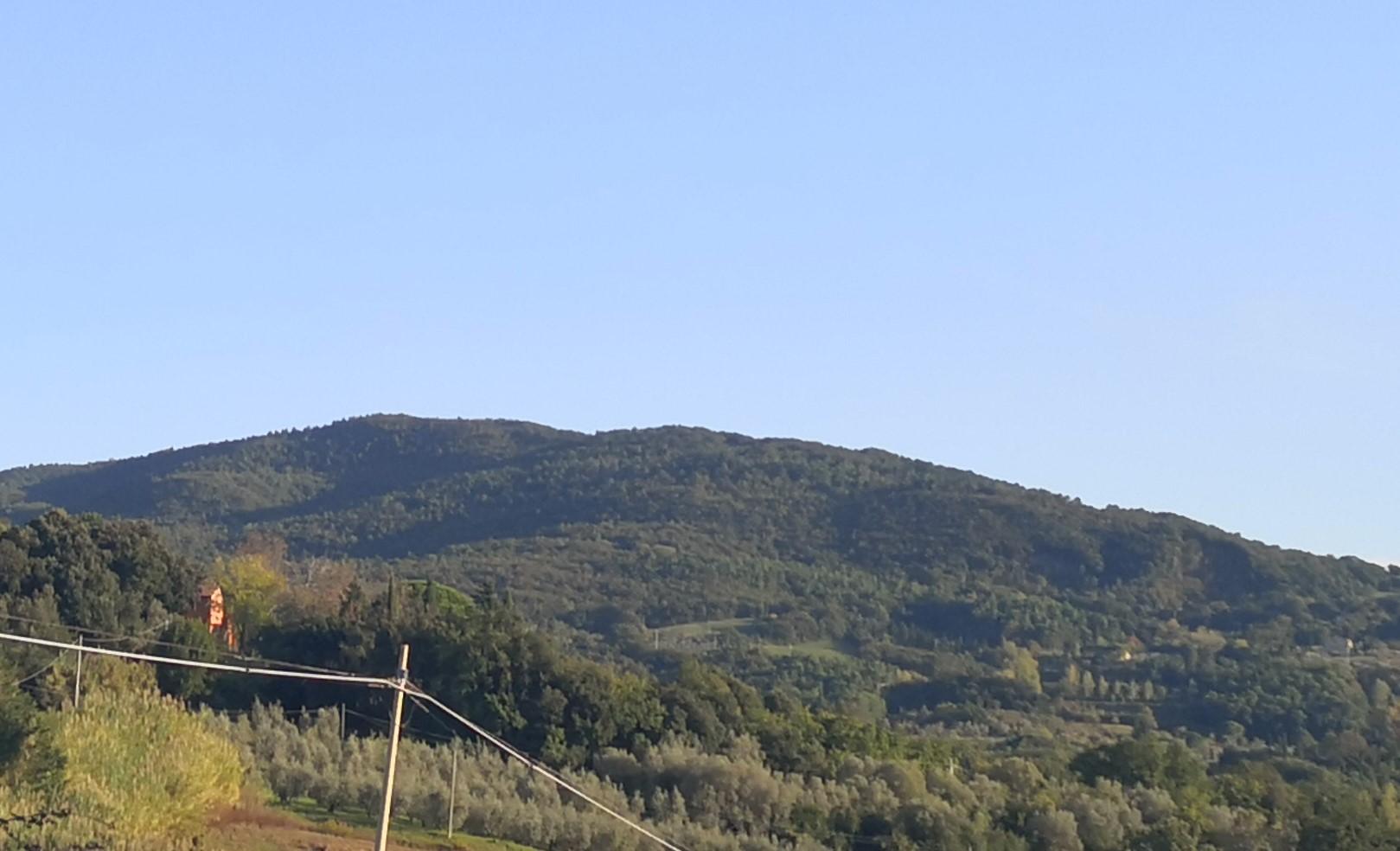 Poggio Pianacce