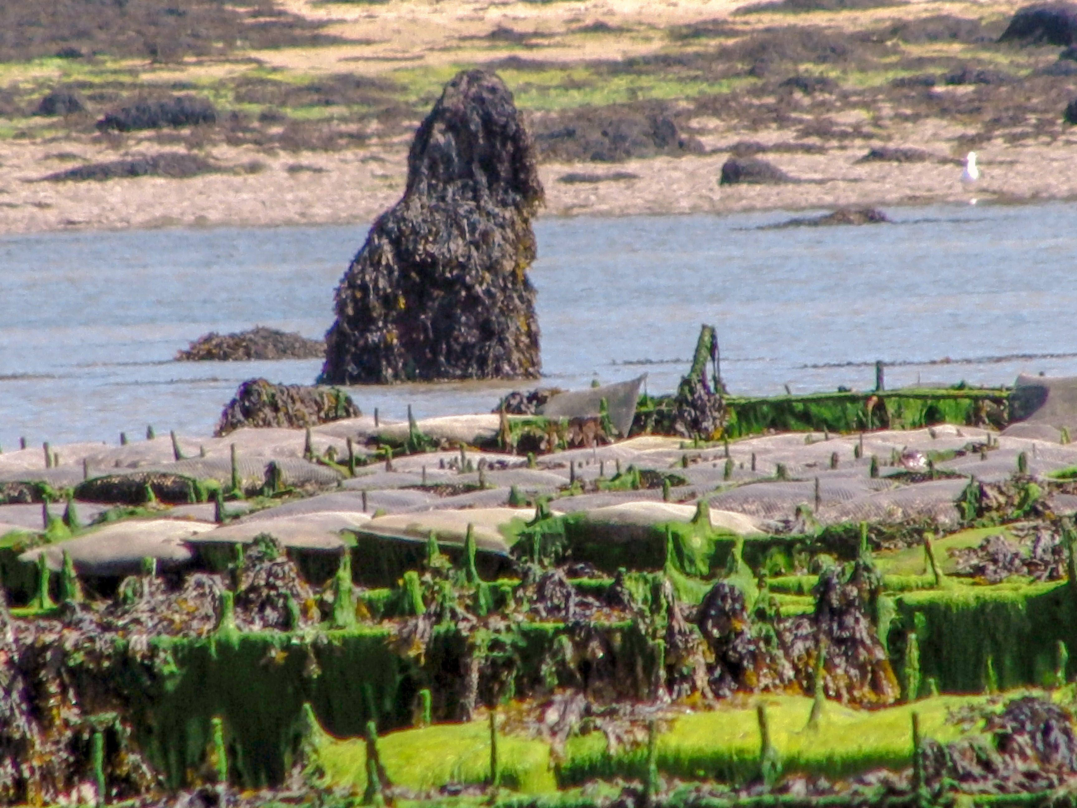 Menhir de Saint Cava