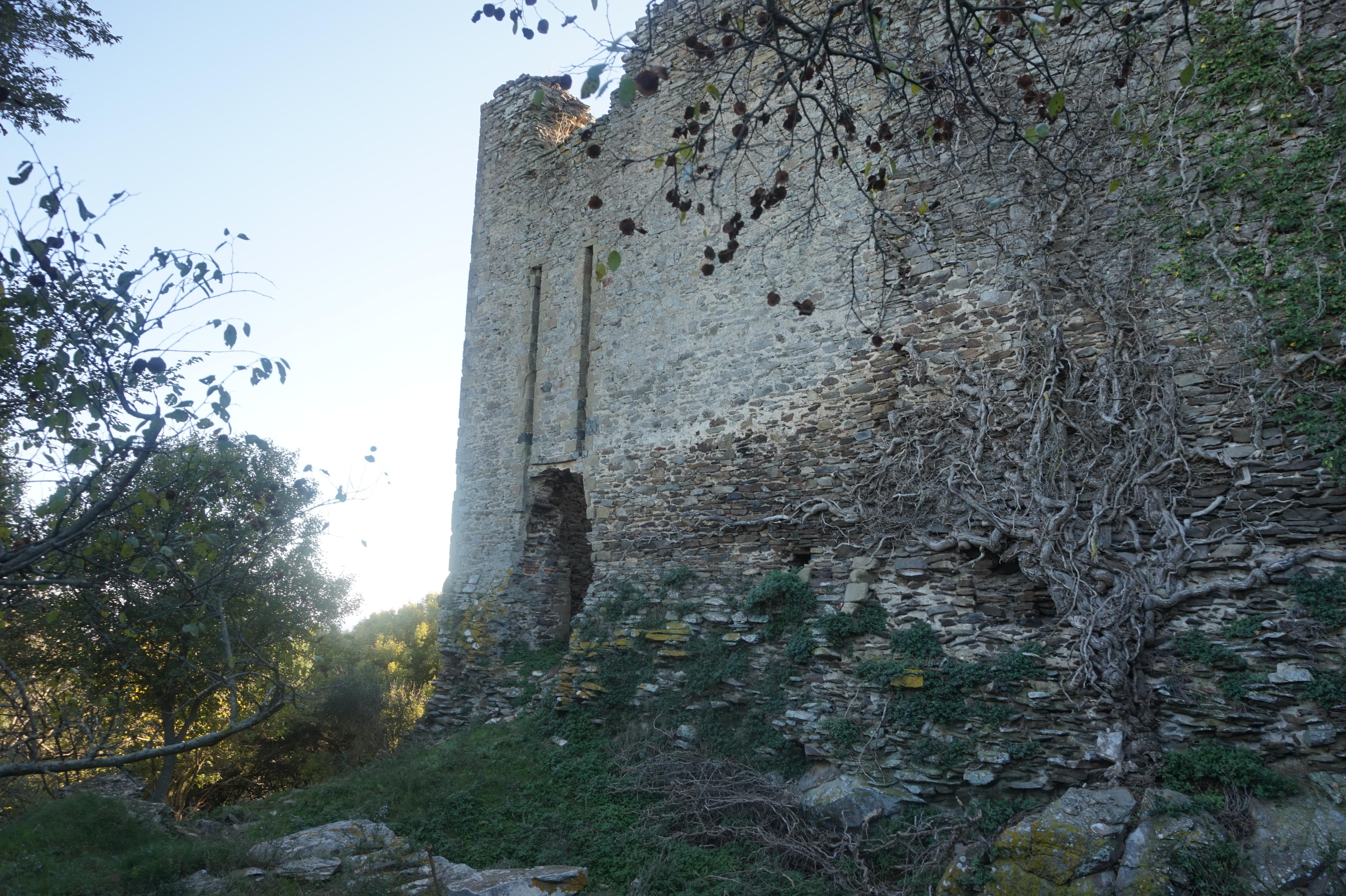 Roccaccia di Montauto