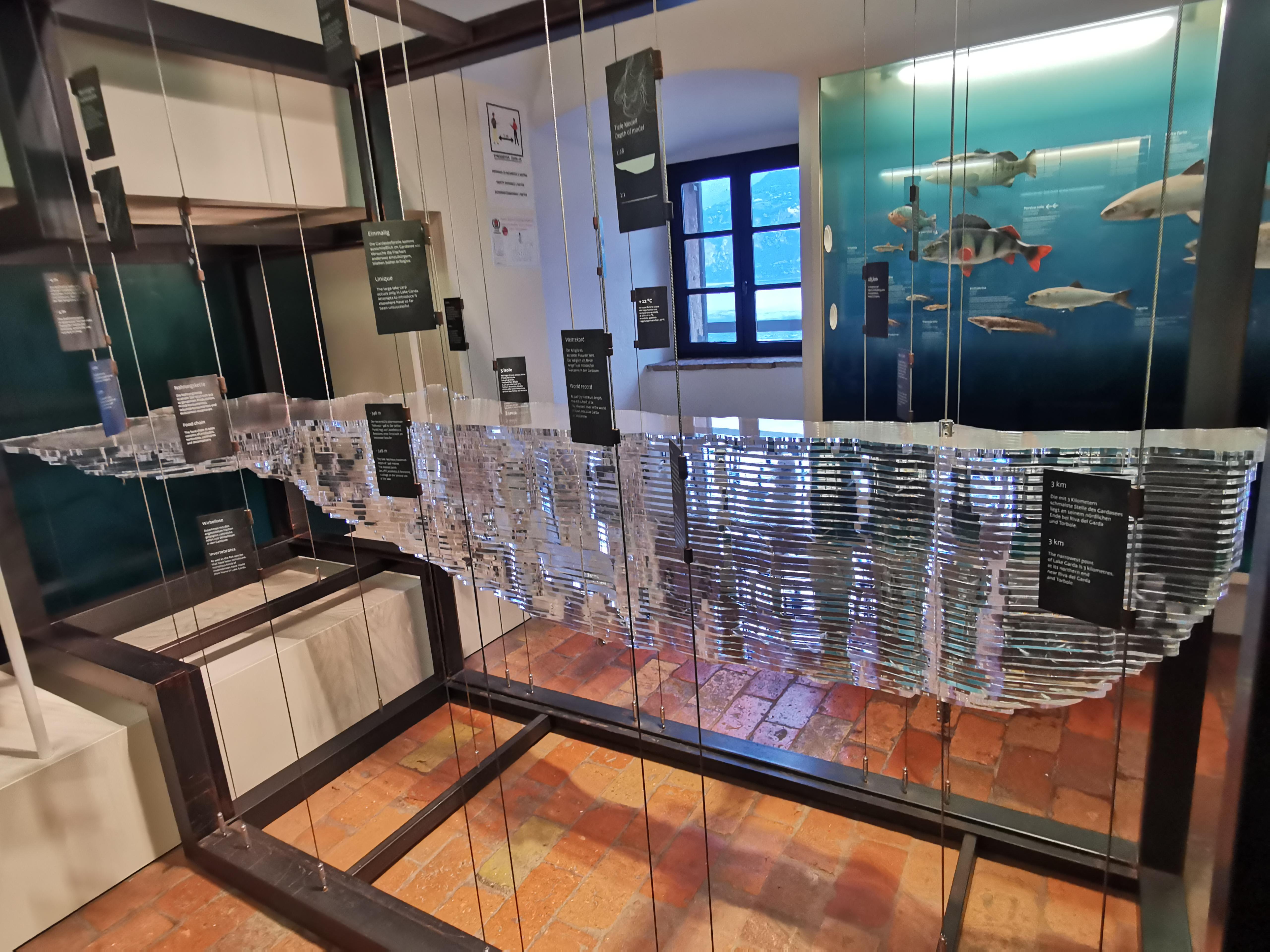 Museo di storia naturale del Monte Baldo e del Garda