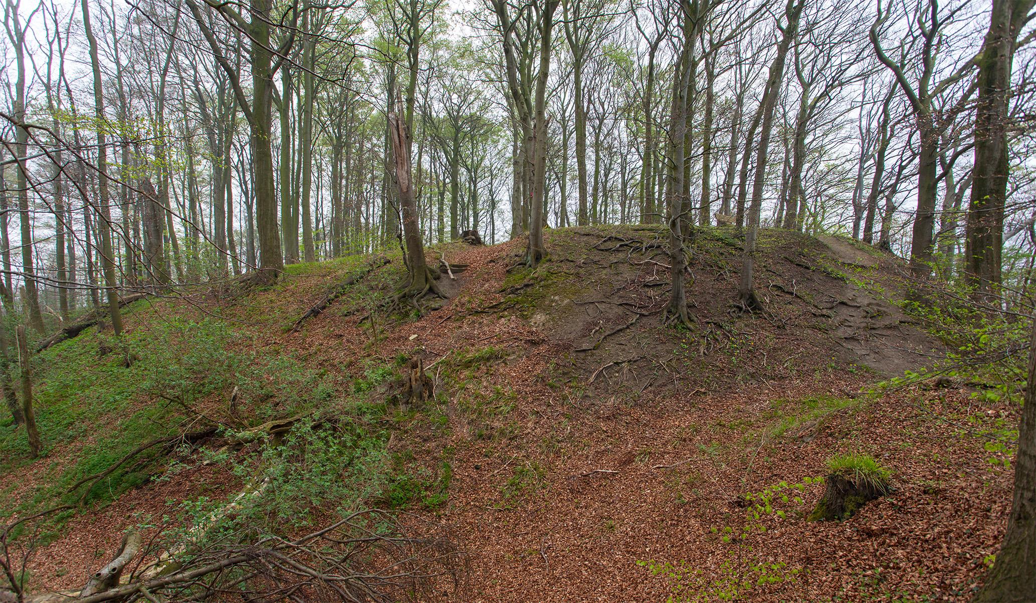 Burg Hohenrode