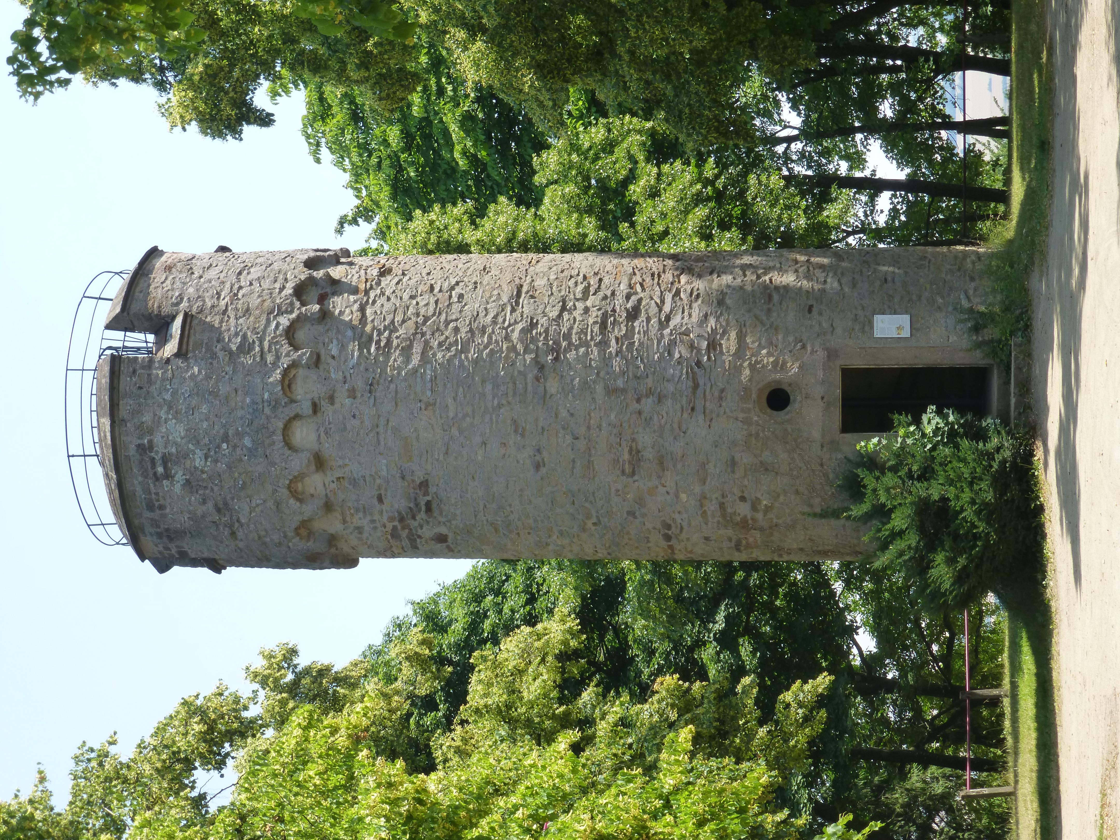 Wartturm