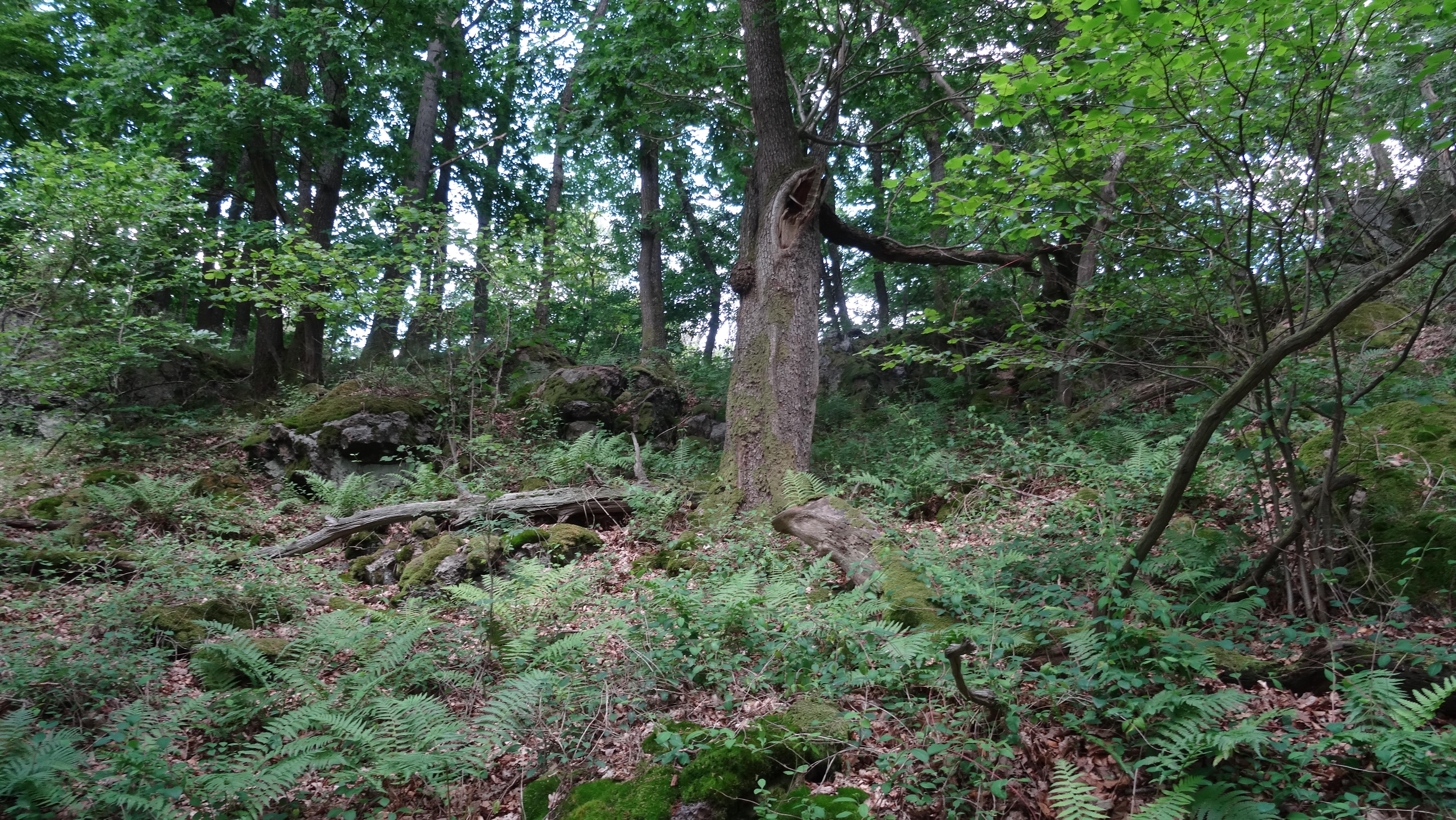 Hunstein