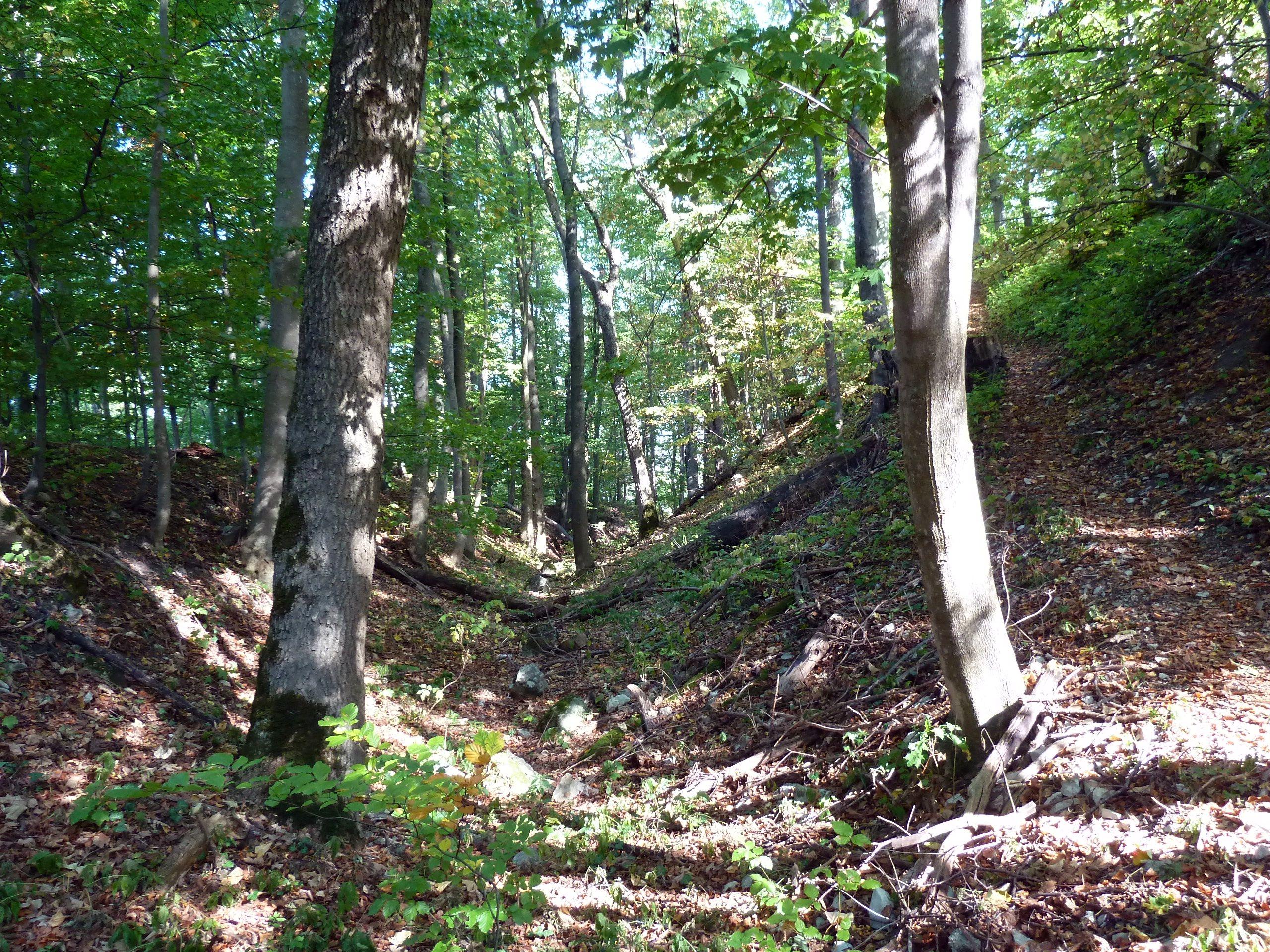 Burg Spitzenberg