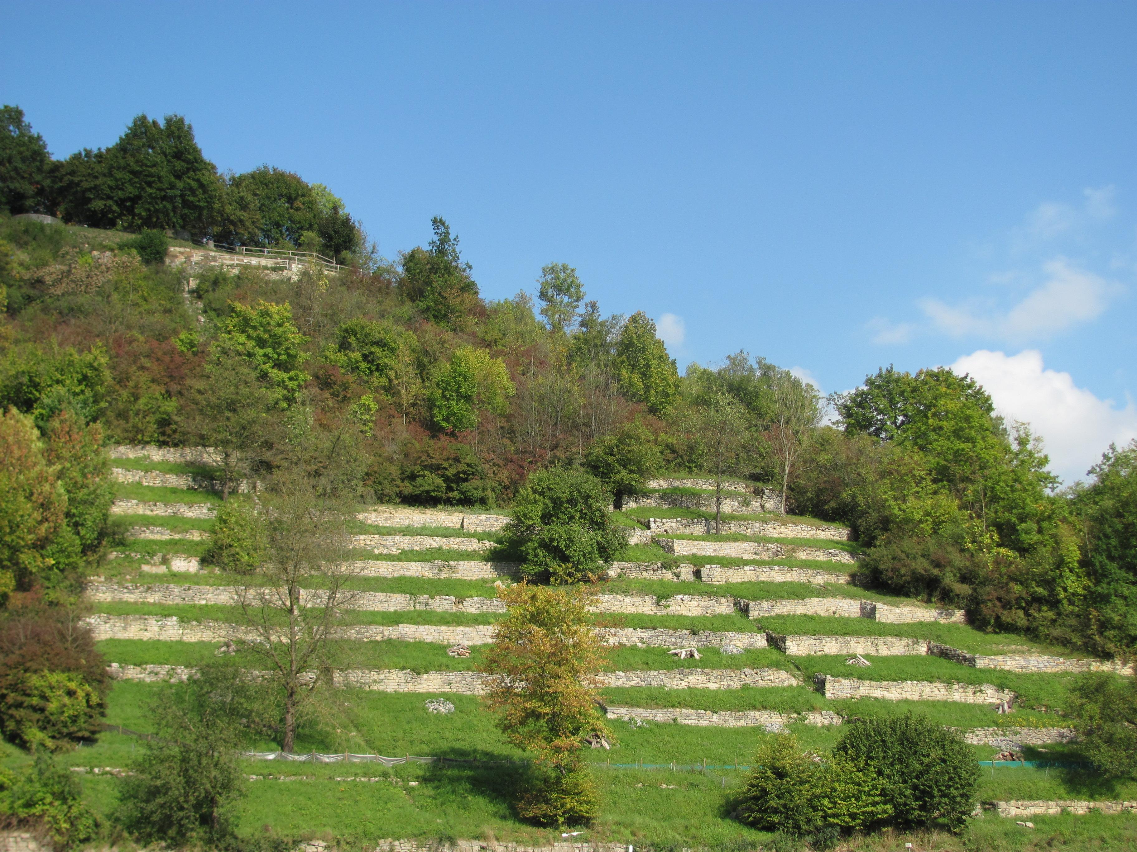 Burgberg