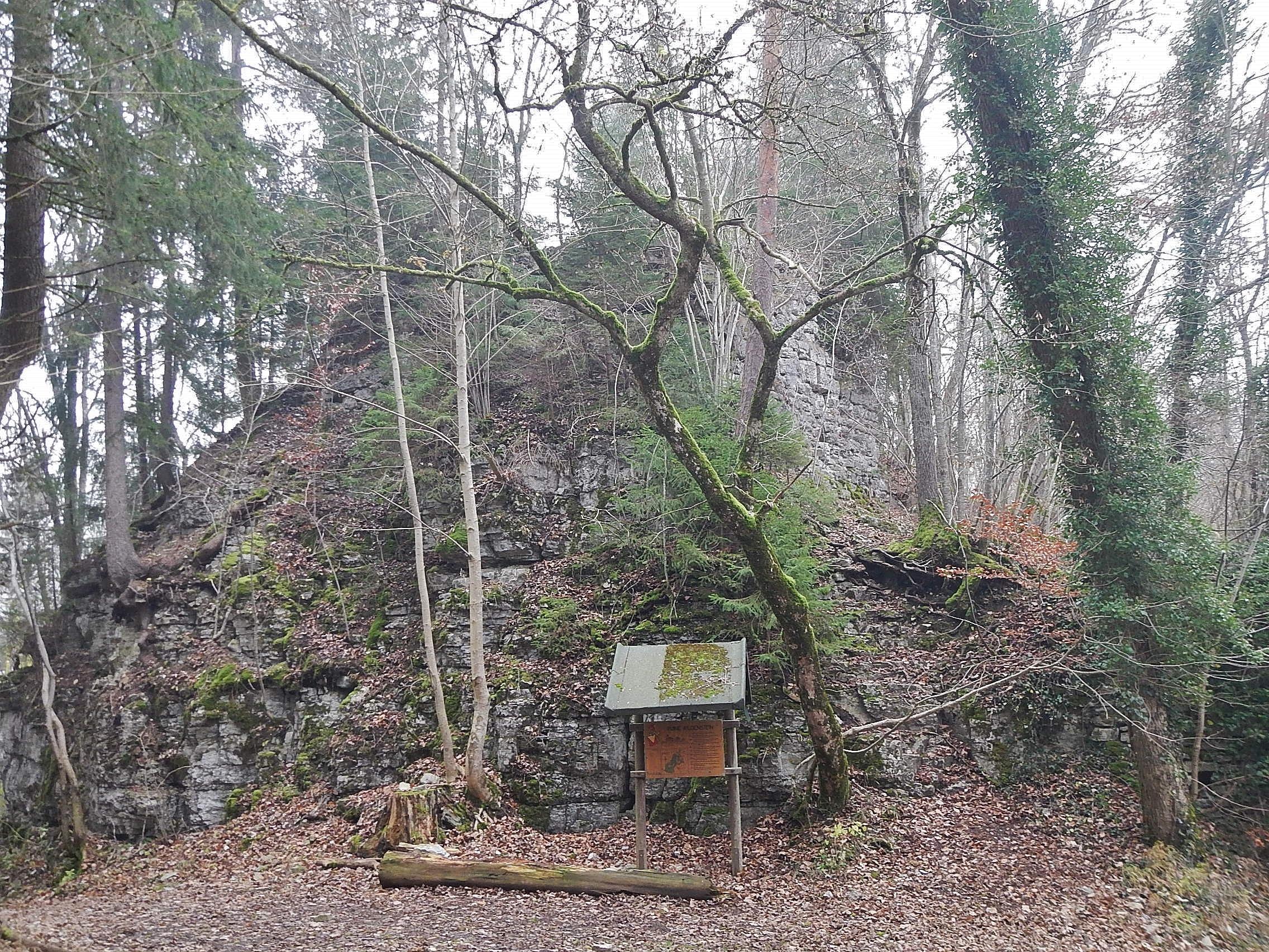 Burg Wildenstein