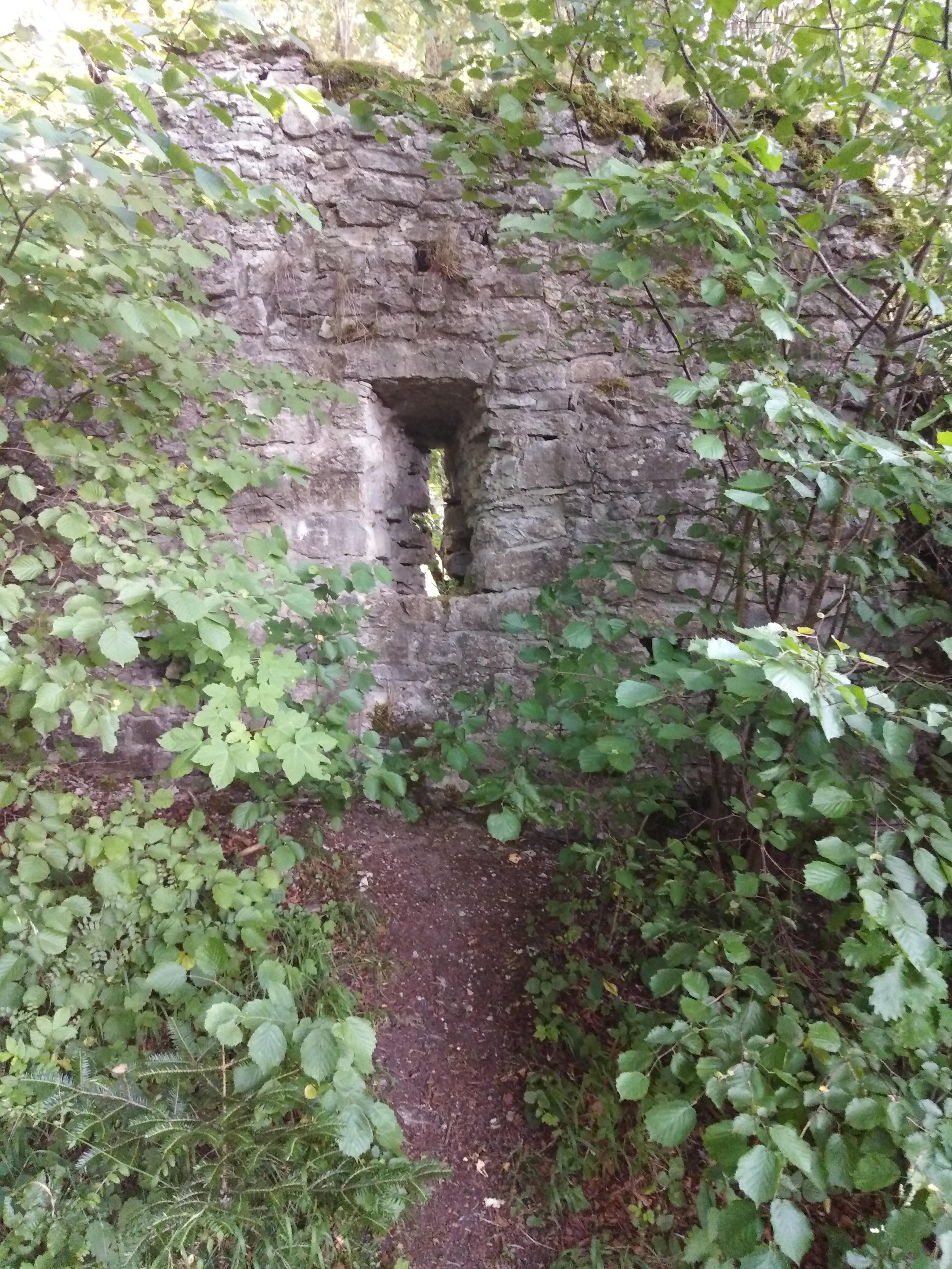 Burg Urslingen