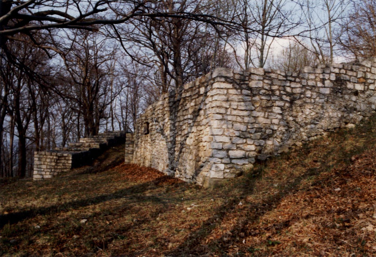 Burg Hahnenkamm