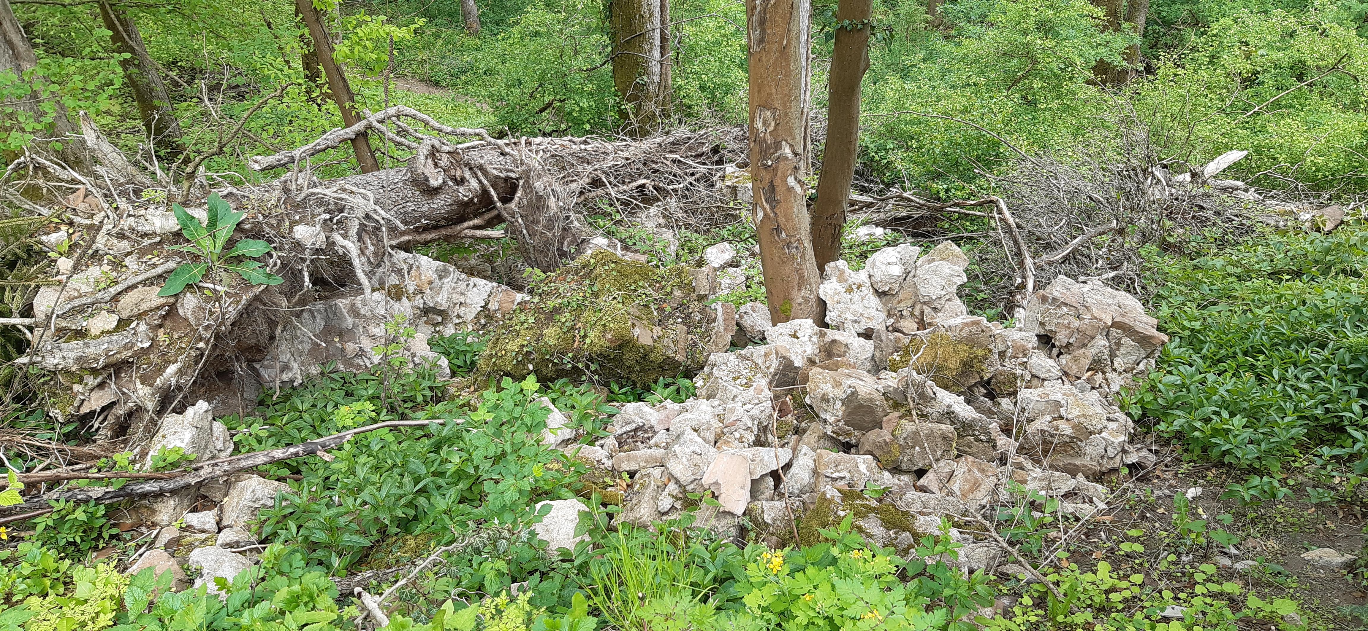Burg Waldeck