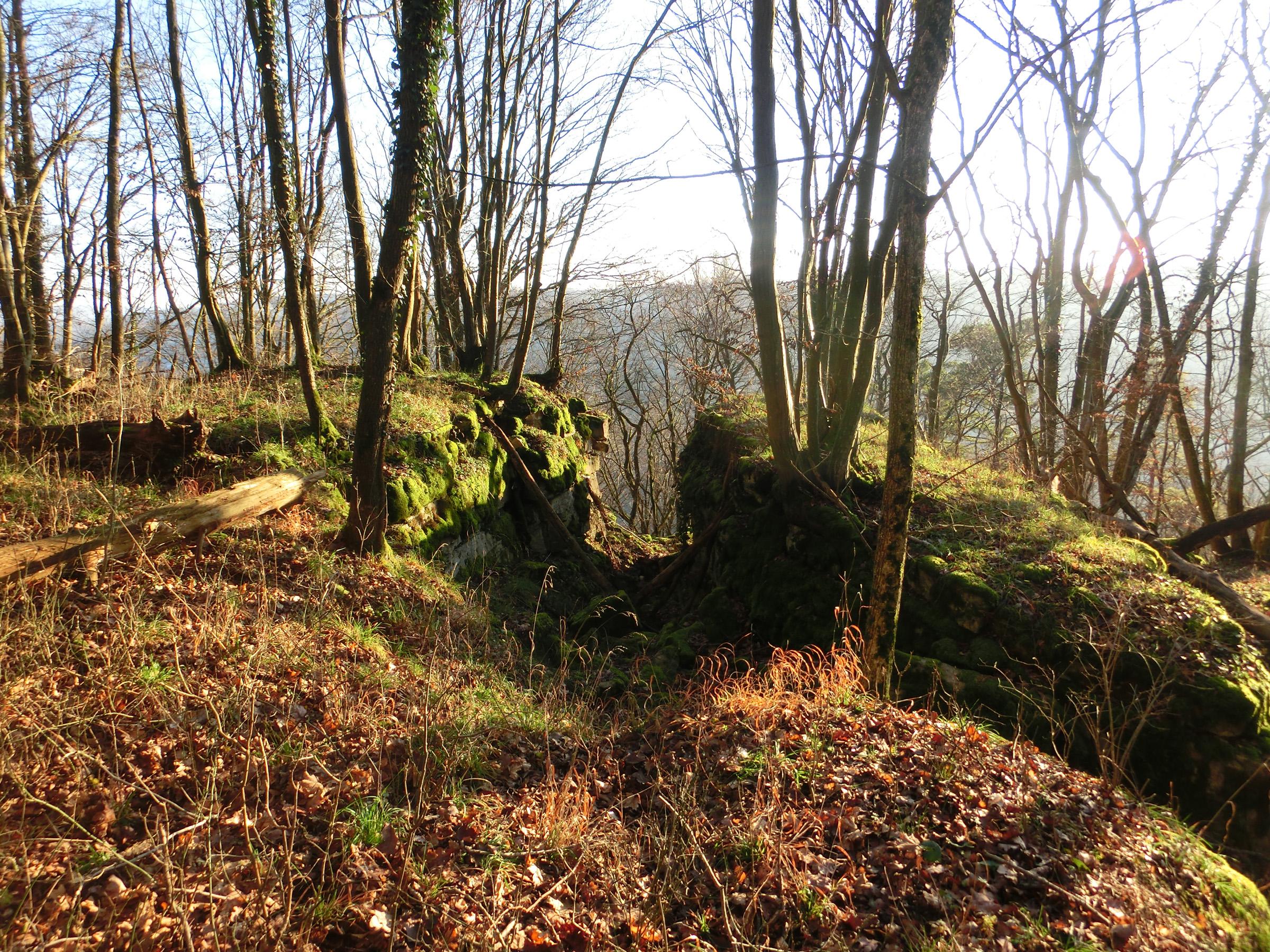Burgruine Hopfach