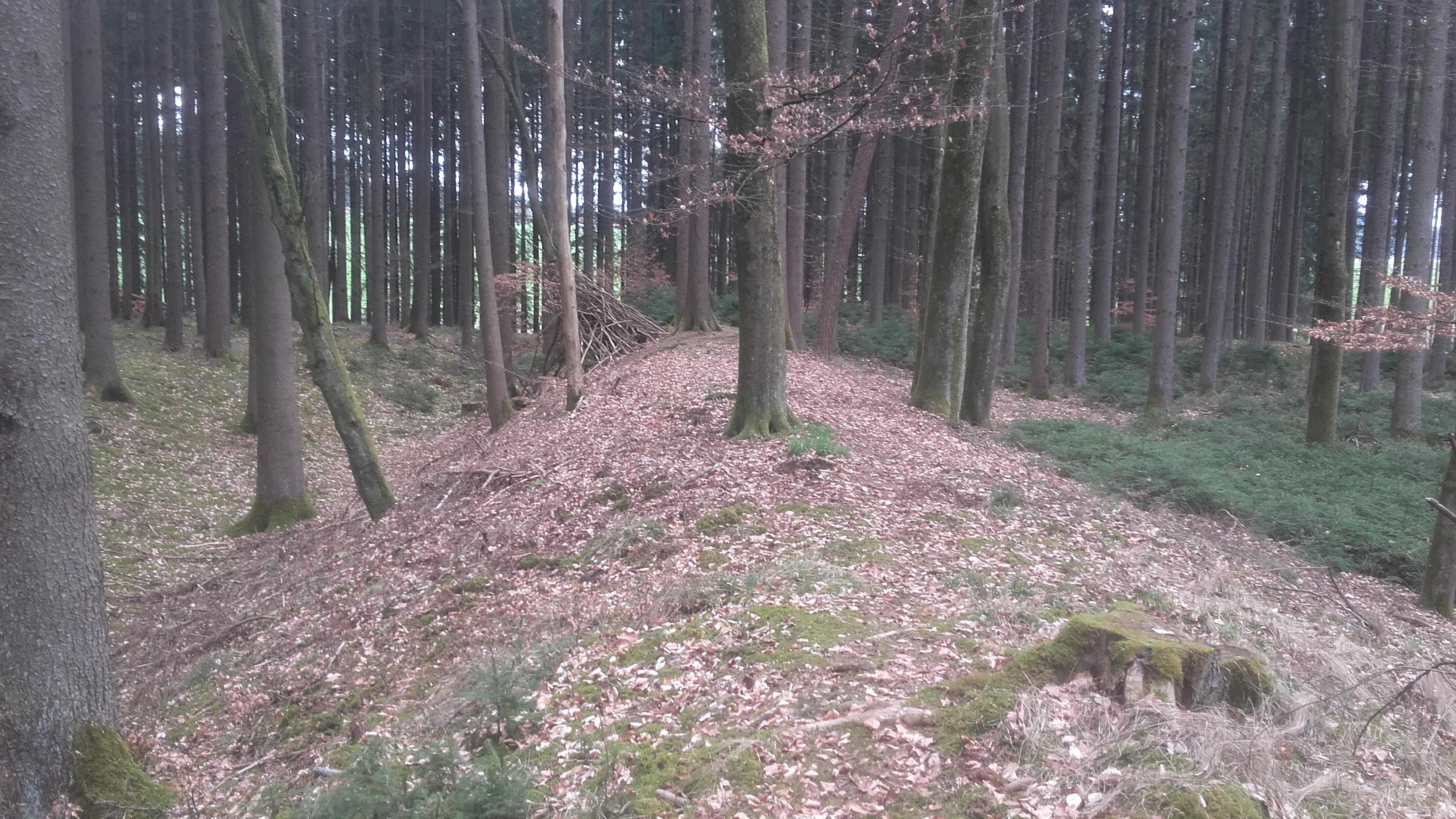 Brennburg