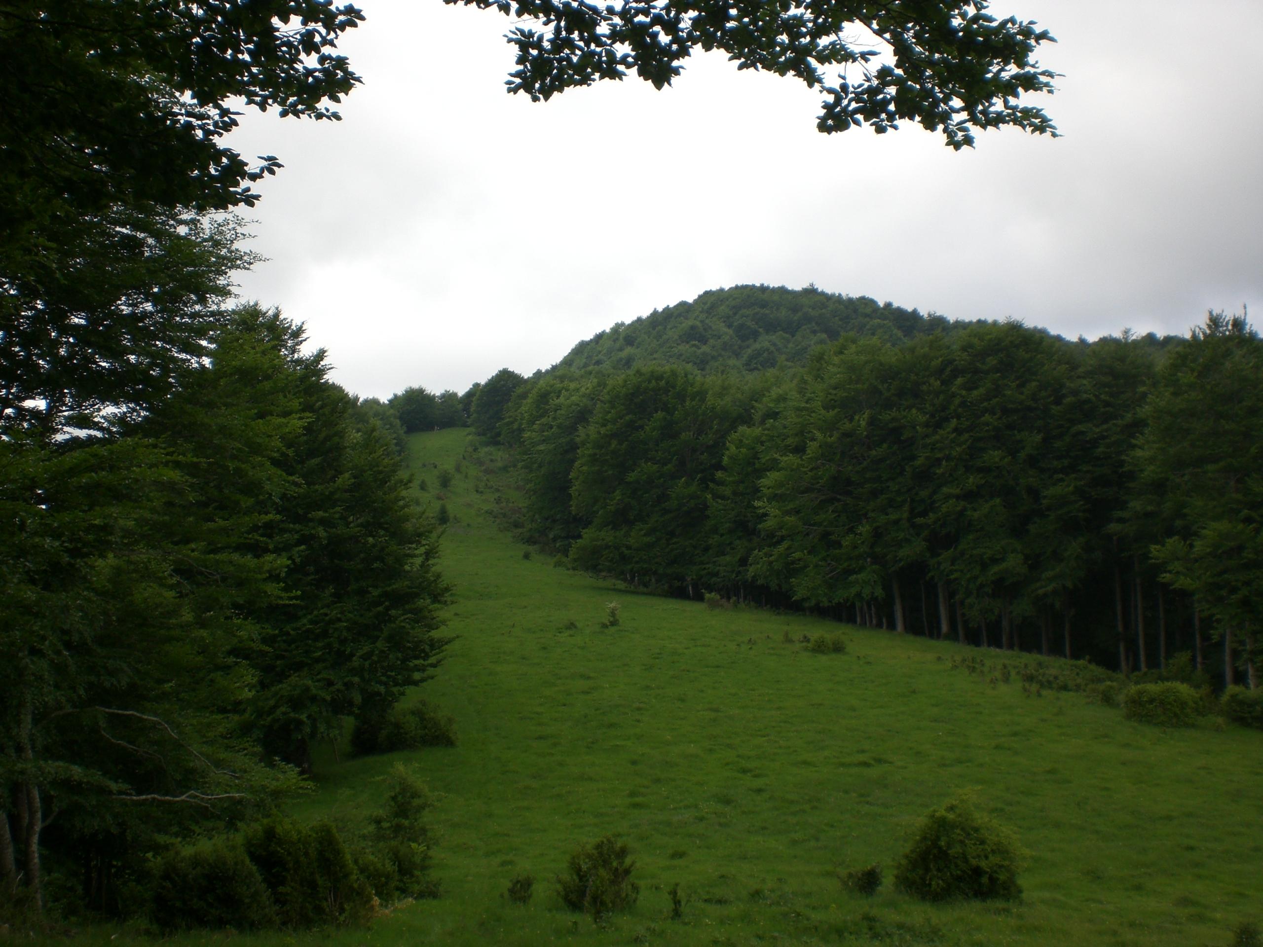 Serra de Santa Magdalena