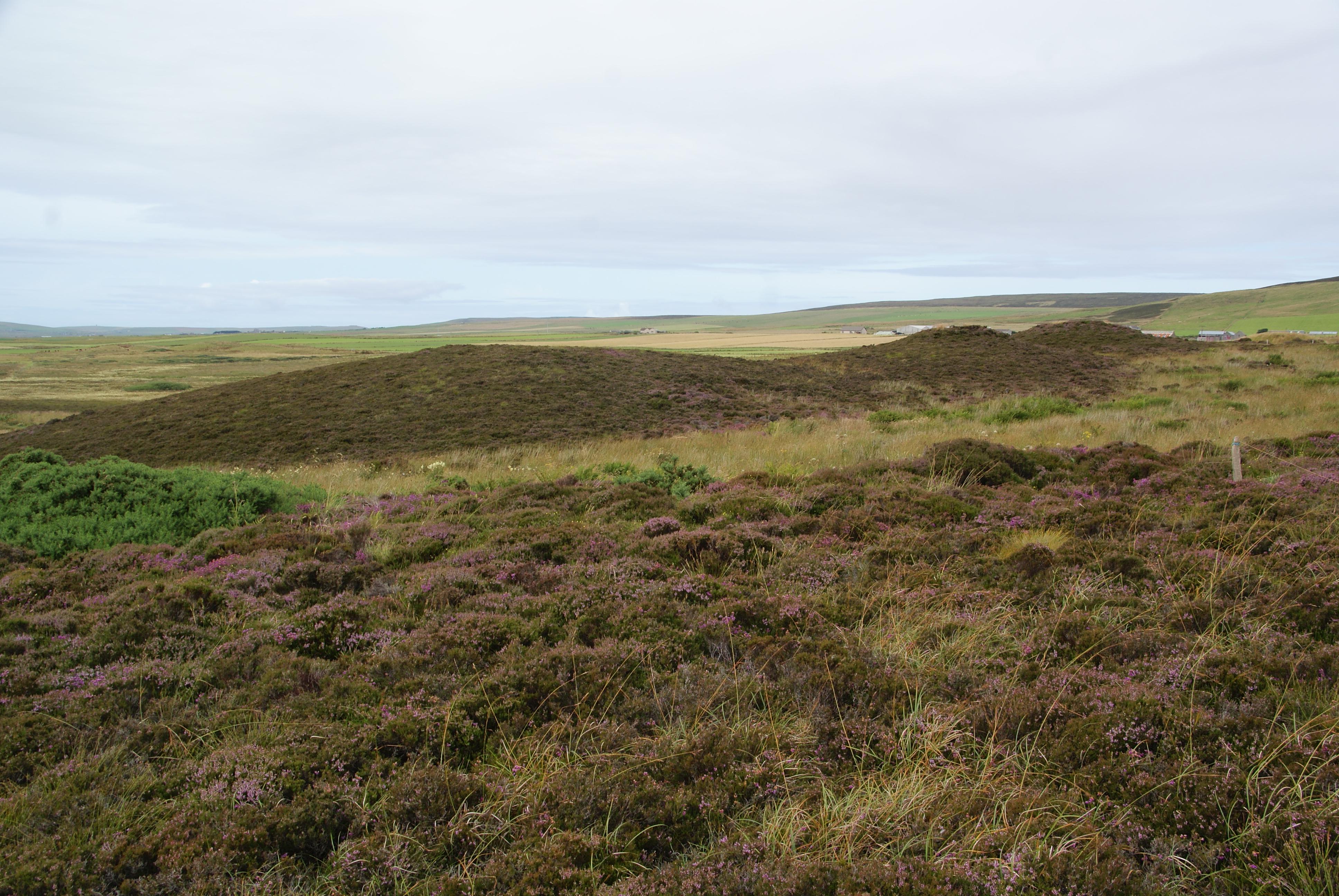 Knowes of Trotty