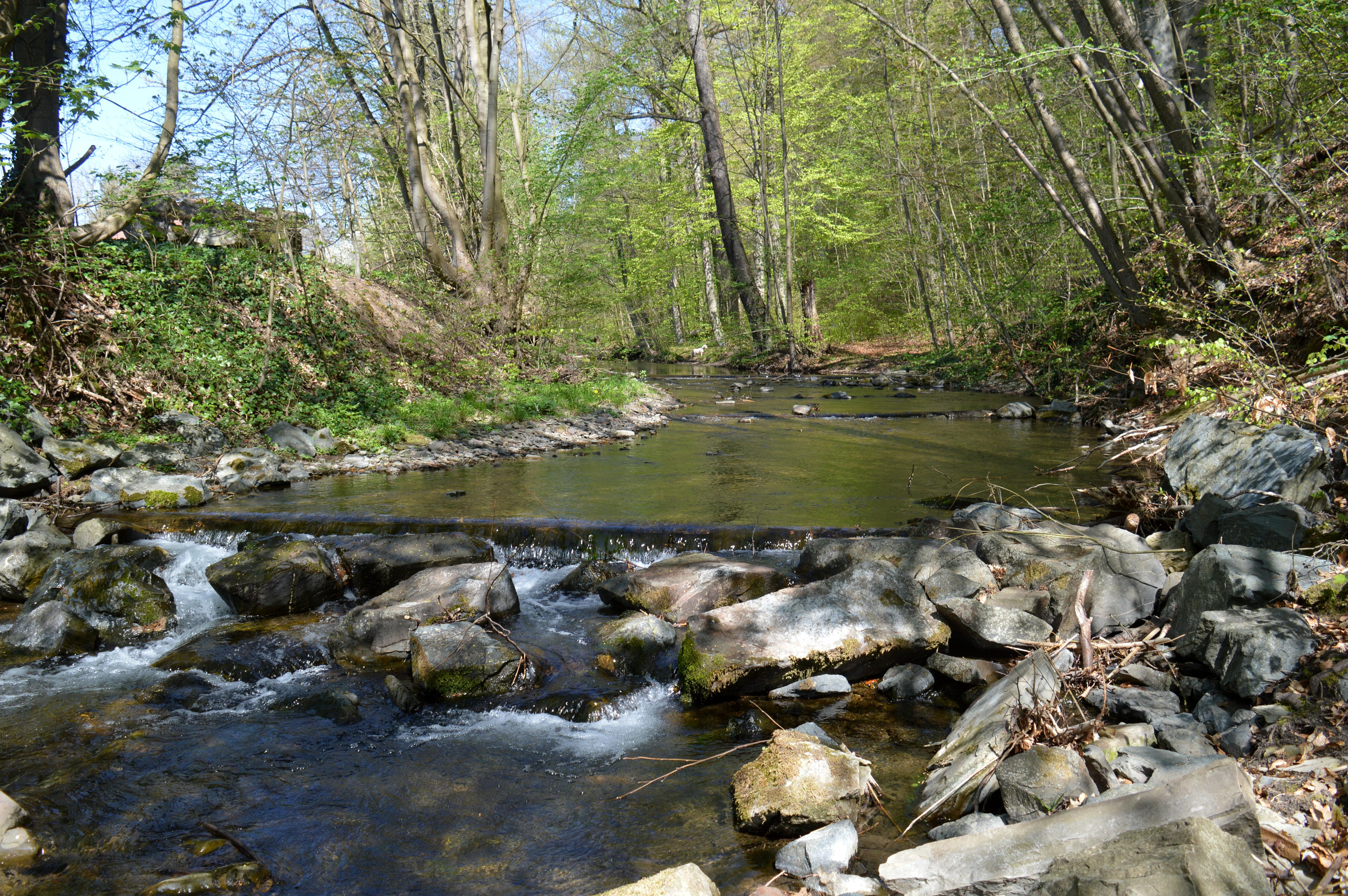 Gipskarstlandschaft Bad Sachsa und Walkenried